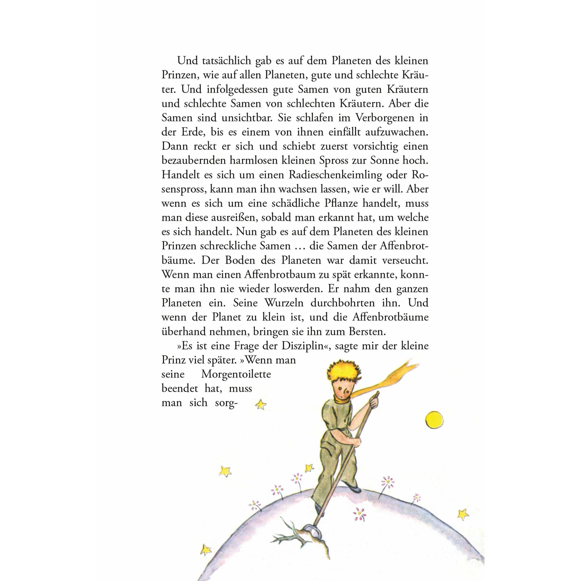 Der Kleine Prinz Antoine De Saint Exupery Ed Emag Ro