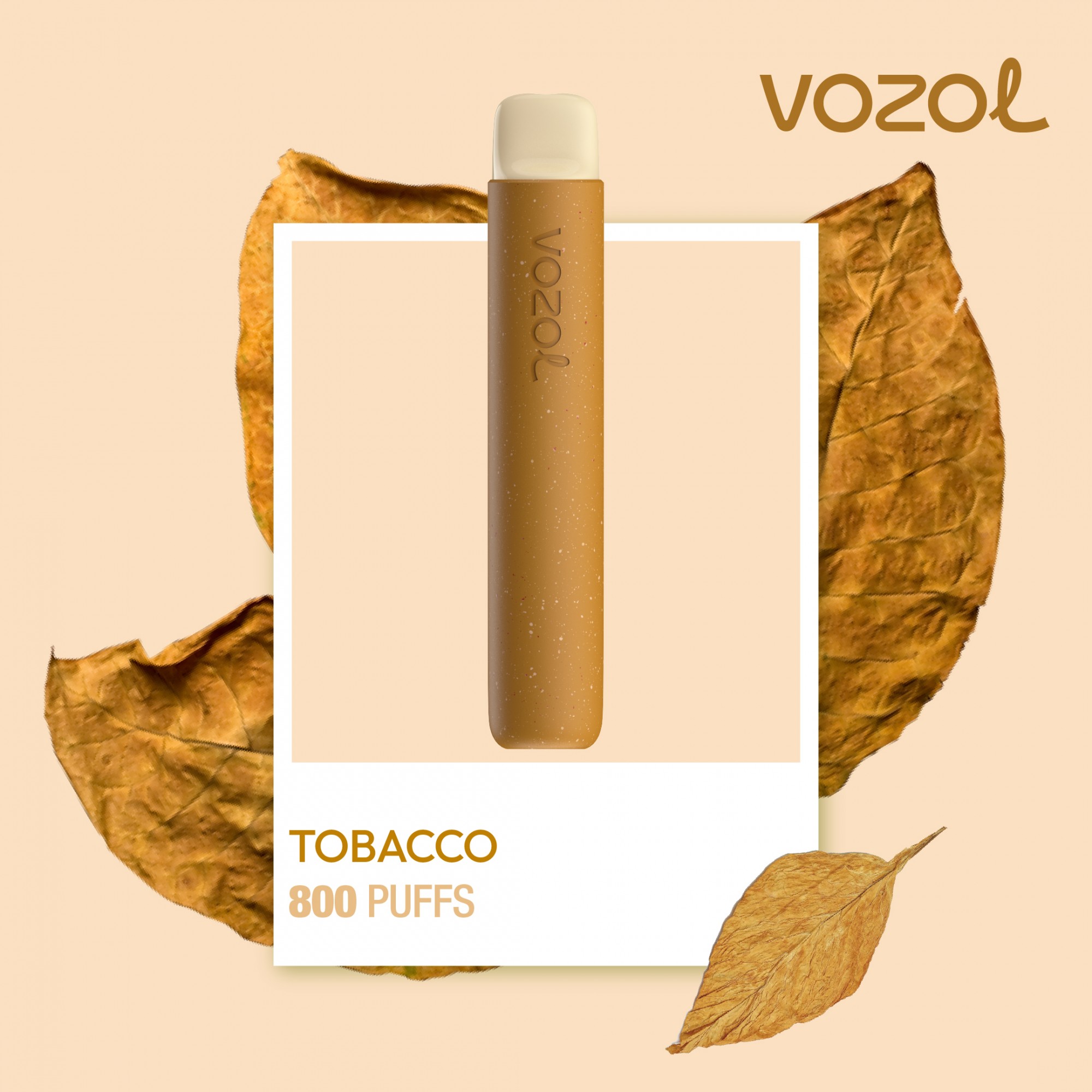 Kit Tigara Electronica Vozol Star Tobacco Dispozitiv De Unica