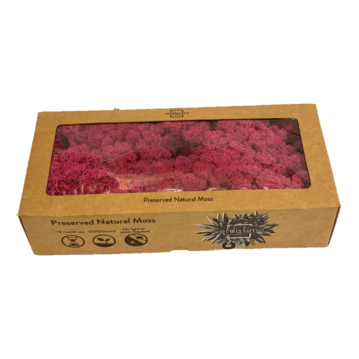 Licheni Decorativi Stabilizati 500gr Magenta Marca Verdissimo EMAG Ro