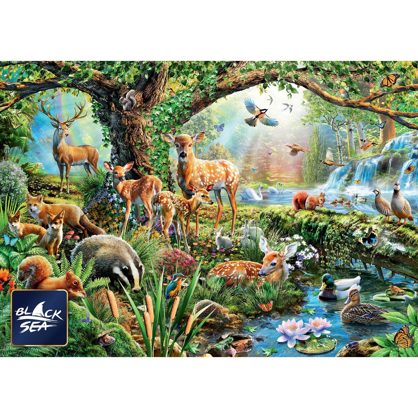 Puzzle Black Sea Puzzles De Piese Creaturile Padurii Adrian