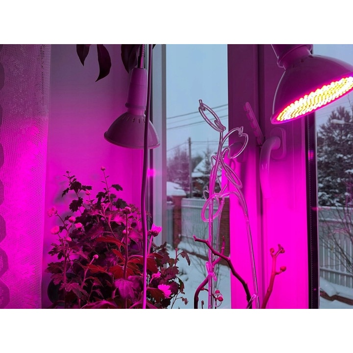 Lampa Uv Ideala Pentru Cresterea Plantelor La Interior Stil Veioza Cu