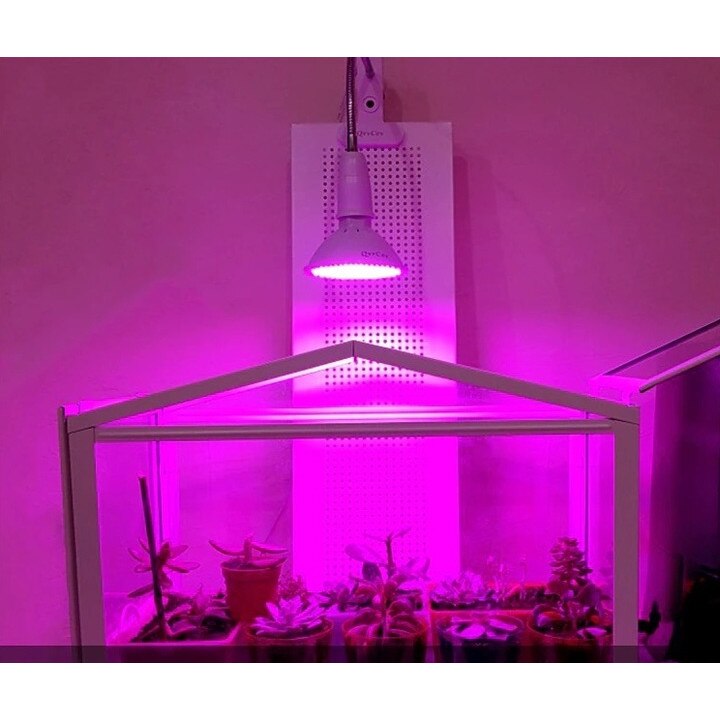 Lampa UV Ideala Pentru Cresterea Plantelor La Interior Stil Veioza Cu