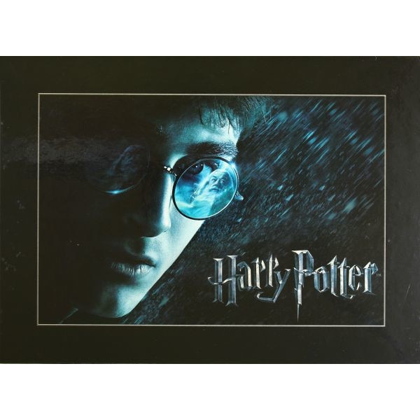 Harry Potter Lata Limitowana Edycja Kolekcjonerska Album Dvd