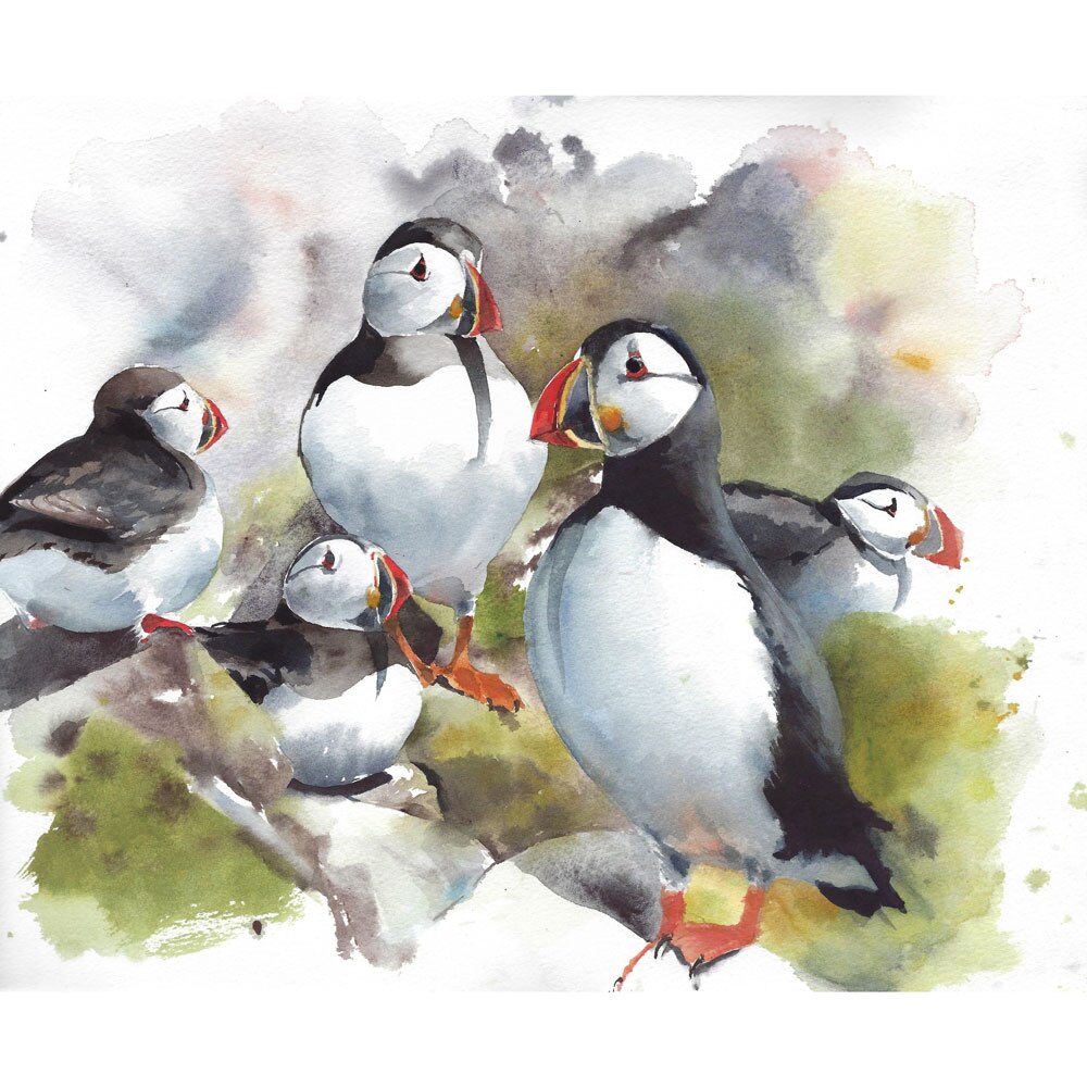 Poster Puffins 40x30 EMAG Ro