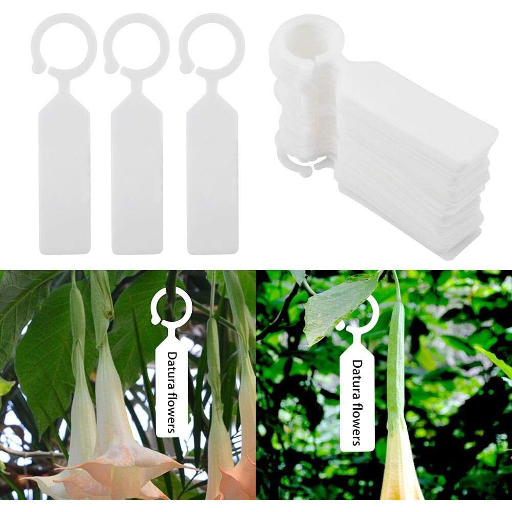 Set Etichete Marcare Plante Pvc Gri Emag Ro