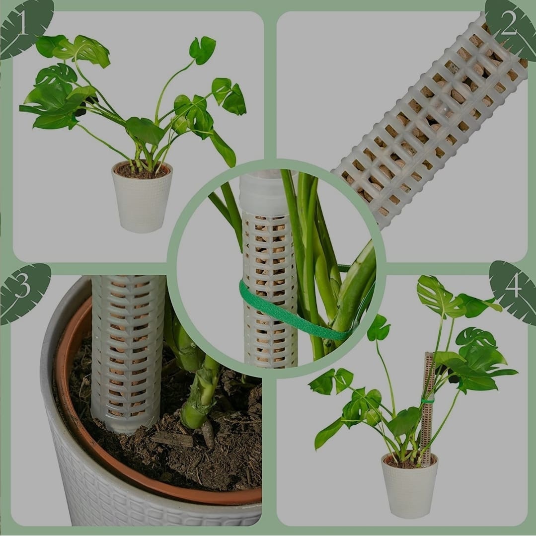 Suport De Plastic Pentru Plante Cataratoare 2x25 Cm EMAG Ro