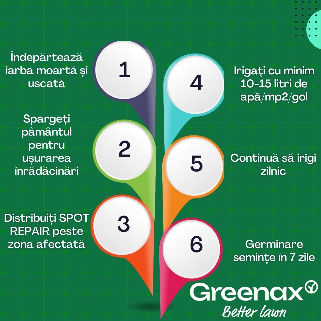 Kit Pentru Repararea Golurilor Din Gazon Greenax Sport Repair Cu