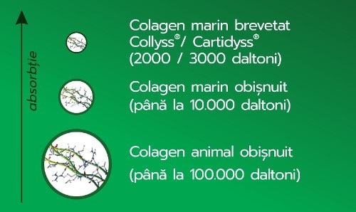 ColaFast® Colagen Rapid