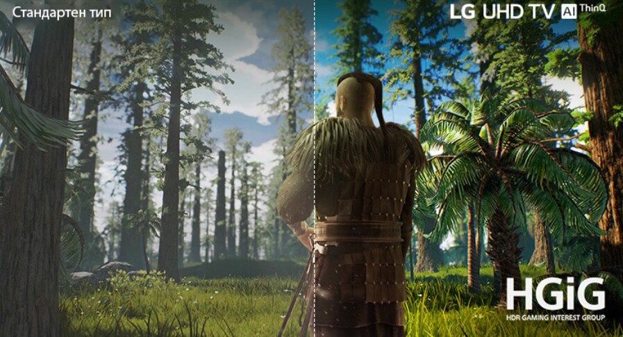Телевизор LG 43UN81003LB
