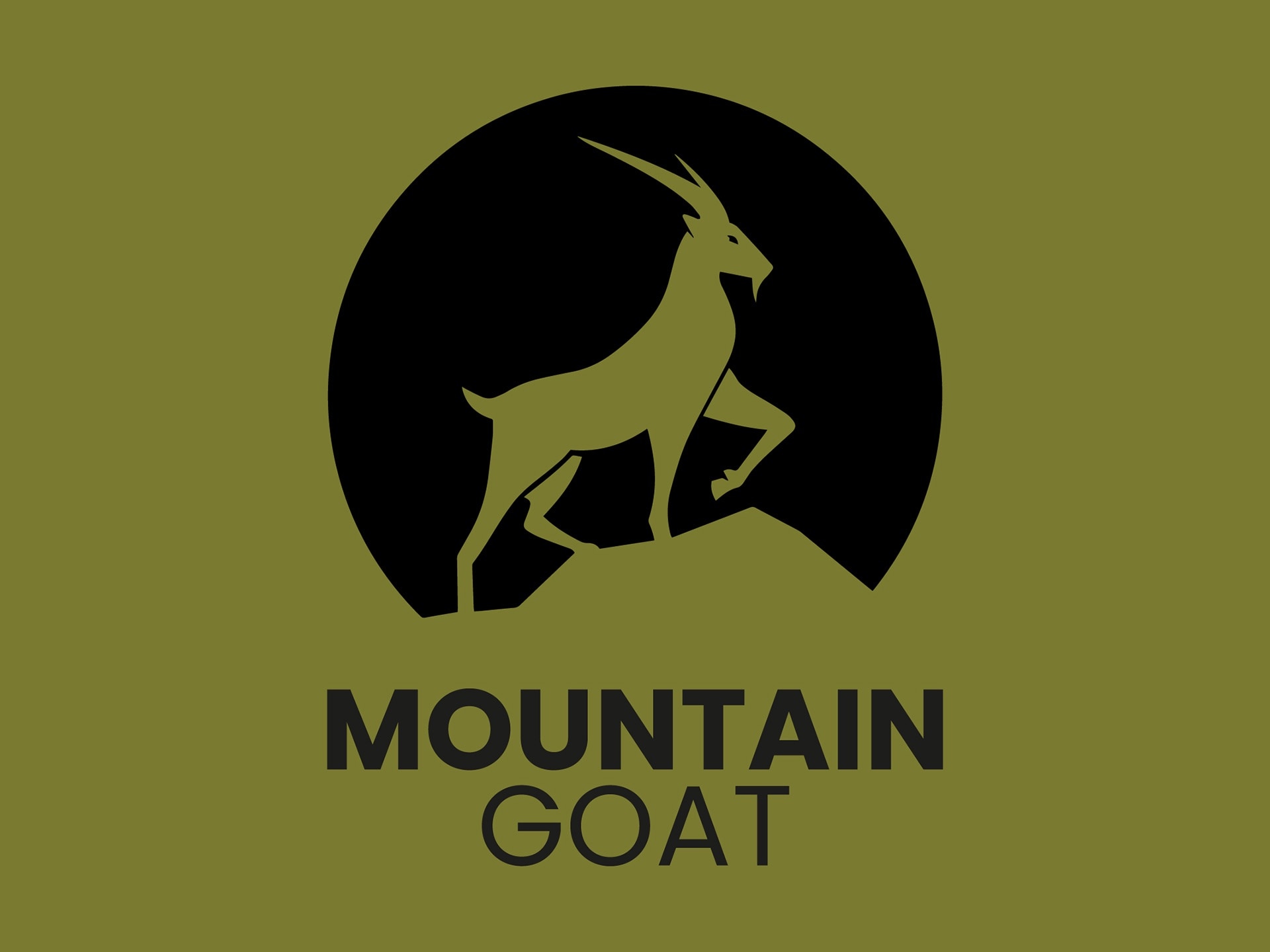 Mountain Goat