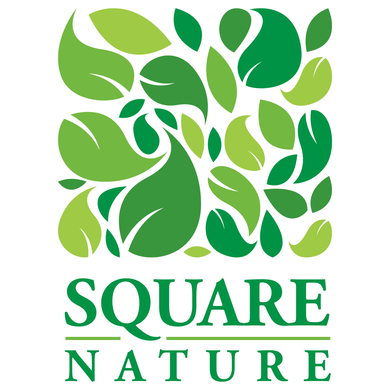 Square Nature