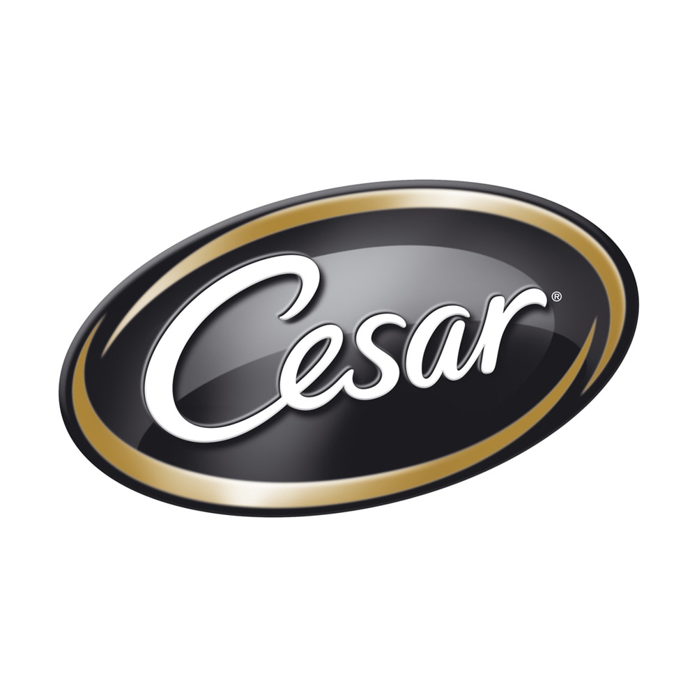 Cesar