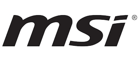 MSI