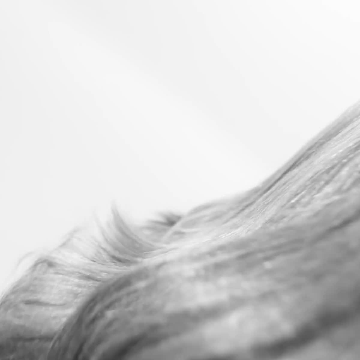Rowenta Karl Lagerfeld Easyliss SF161LF0 plancha de pelo