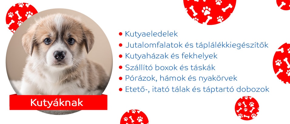 Kutyáknak