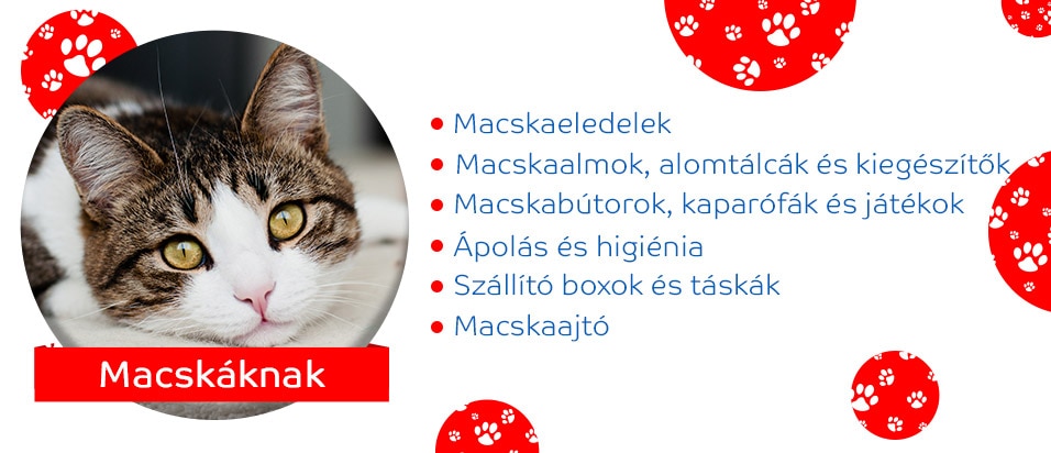 Macskáknak