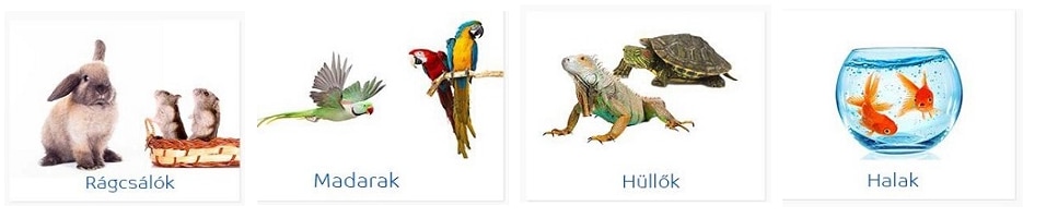 Petshop