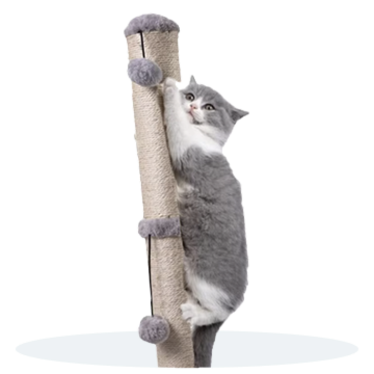 Állateledelek és kiegészítők