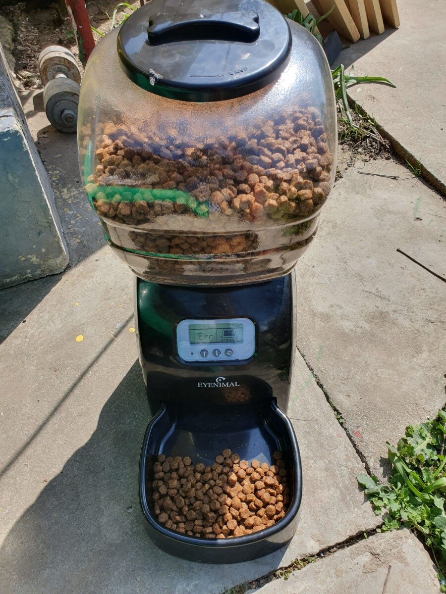 Hranitor automat 5kg pentru caini si pisici, Eyenimal - eMAG.ro