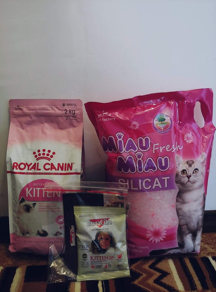 Hrana uscata pentru pisici Royal Canin, Kitten, 2Kg - eMAG.ro