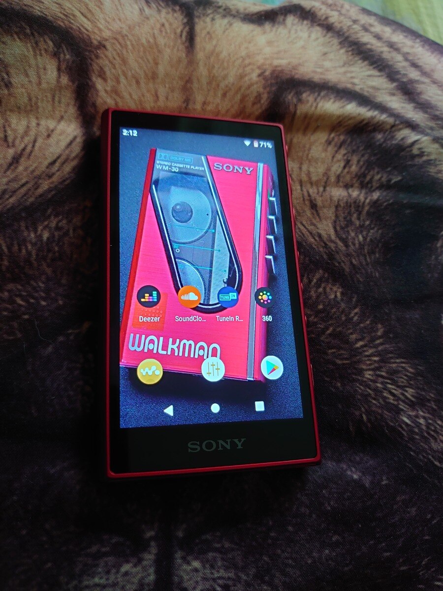 MP4 Player Sony Walkman NW-A105L, Hi-Res Audio, Android 9.0, Ecran