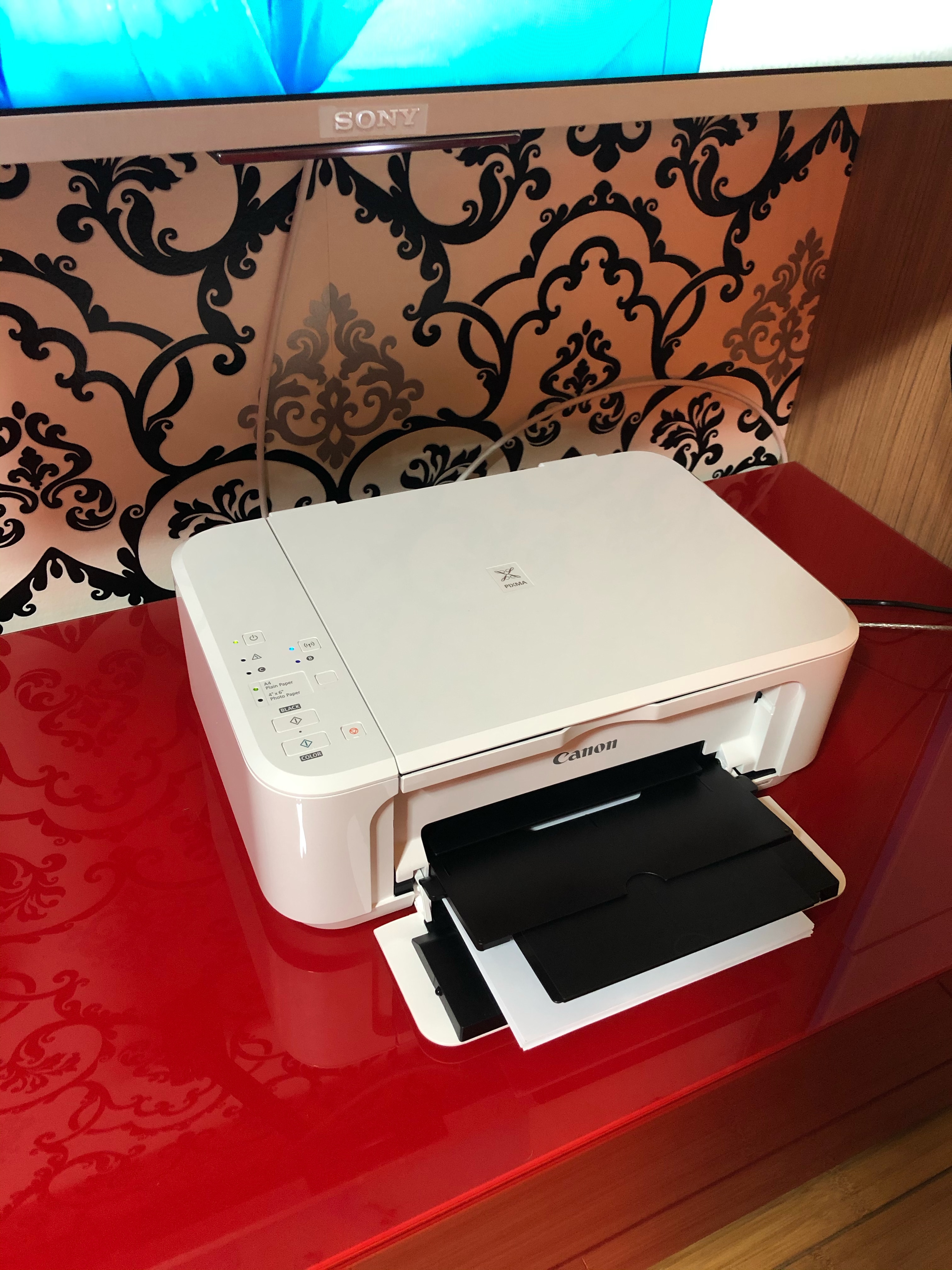 how to use scanner on canon printer mg2520