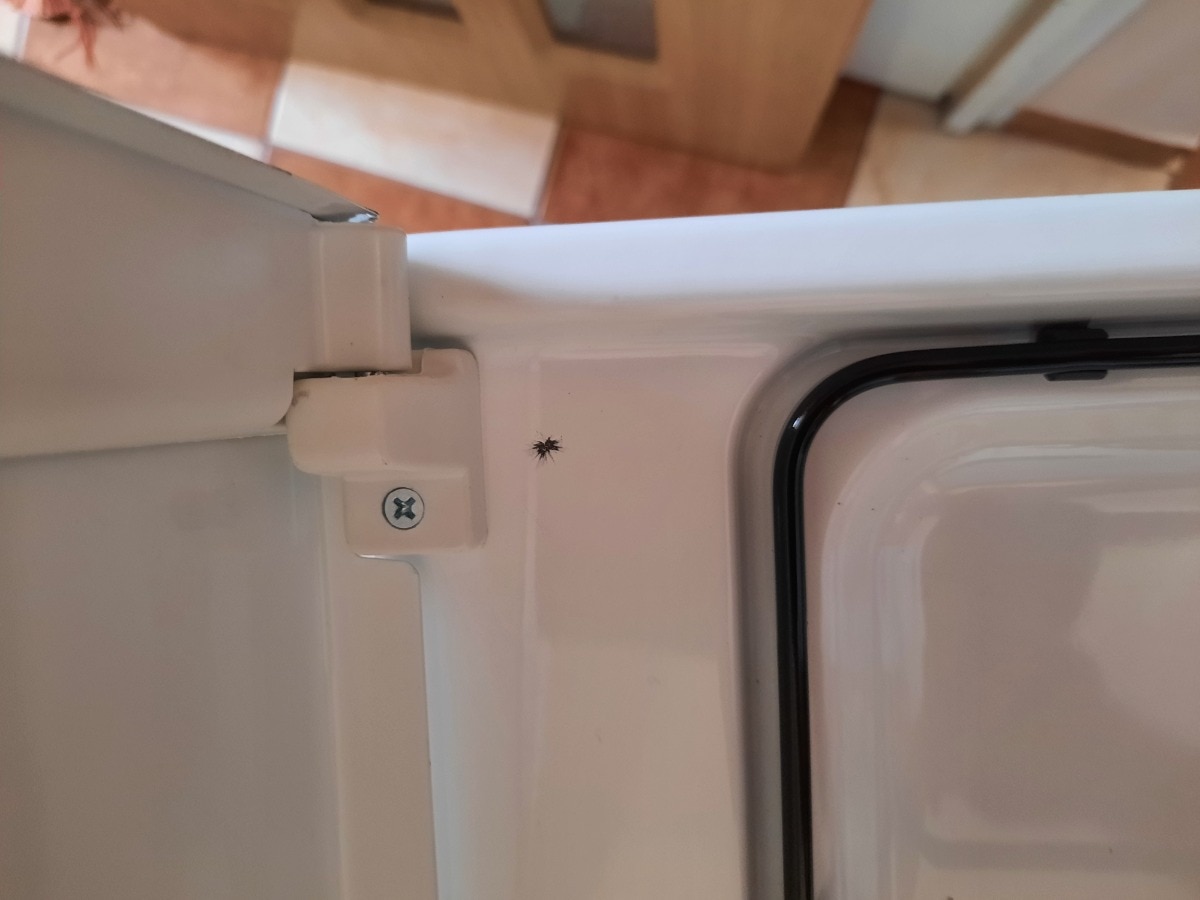 Aragaz Electrolux EKK51550OW, Mixt, 4 arzatoare, Aprindere electrica plita, Siguranta plita, Cuptor electric, Iluminare cuptor, Timer, Grill, Clasa A, 50 cm, Alb