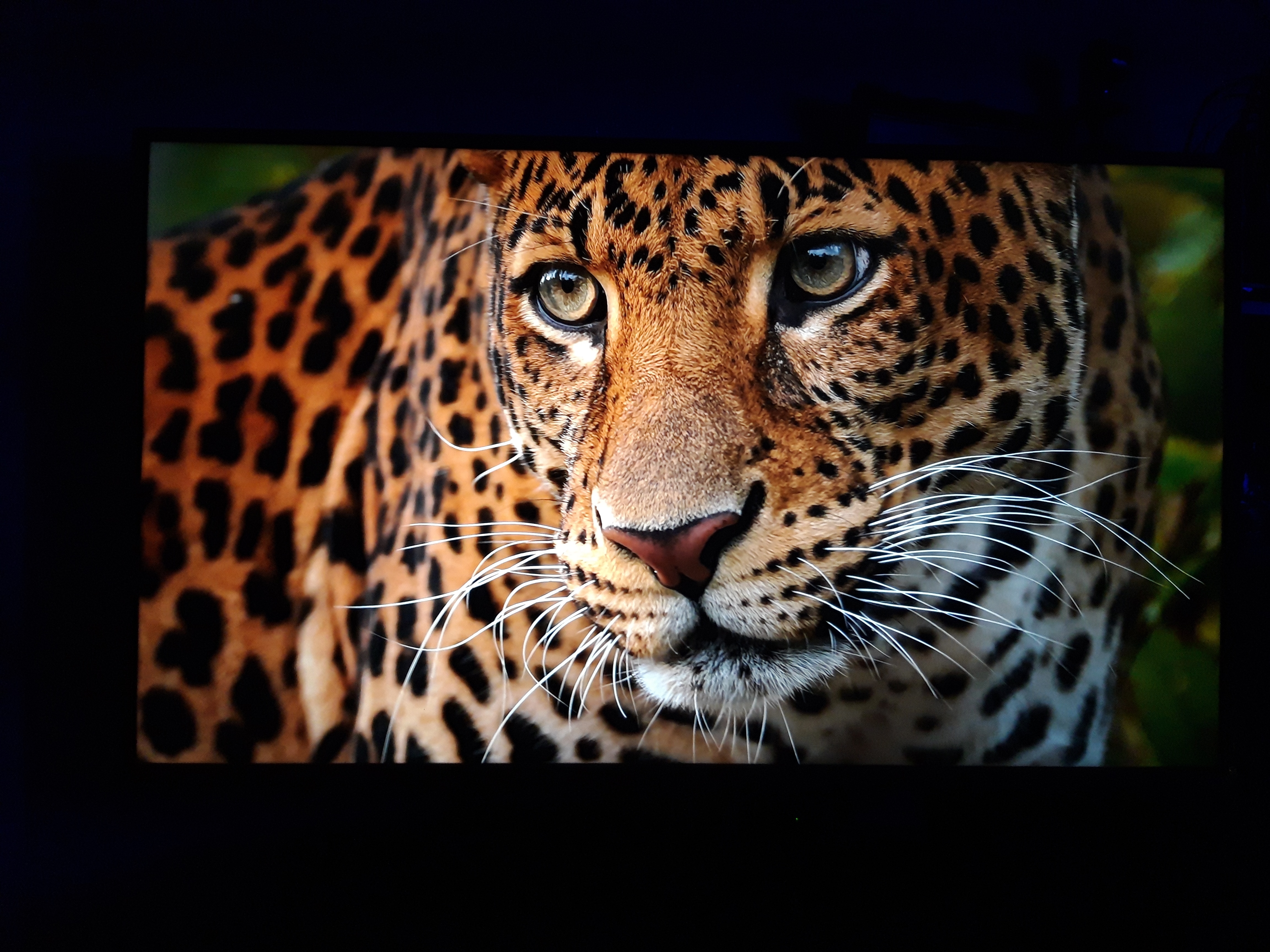 Televizor LG 65NANO793NE, 164 cm, Smart, 4K Ultra HD, LED, Clasa G