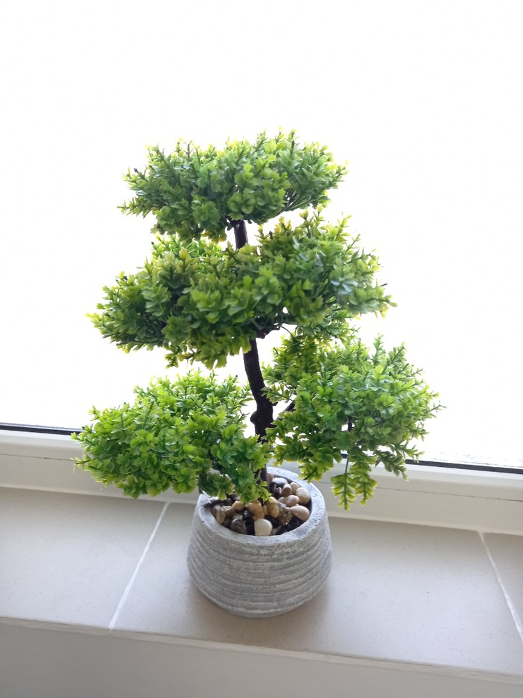 Vaso decorativo Bonsai in ceramica verde H 22 cm, Ø 32 cm