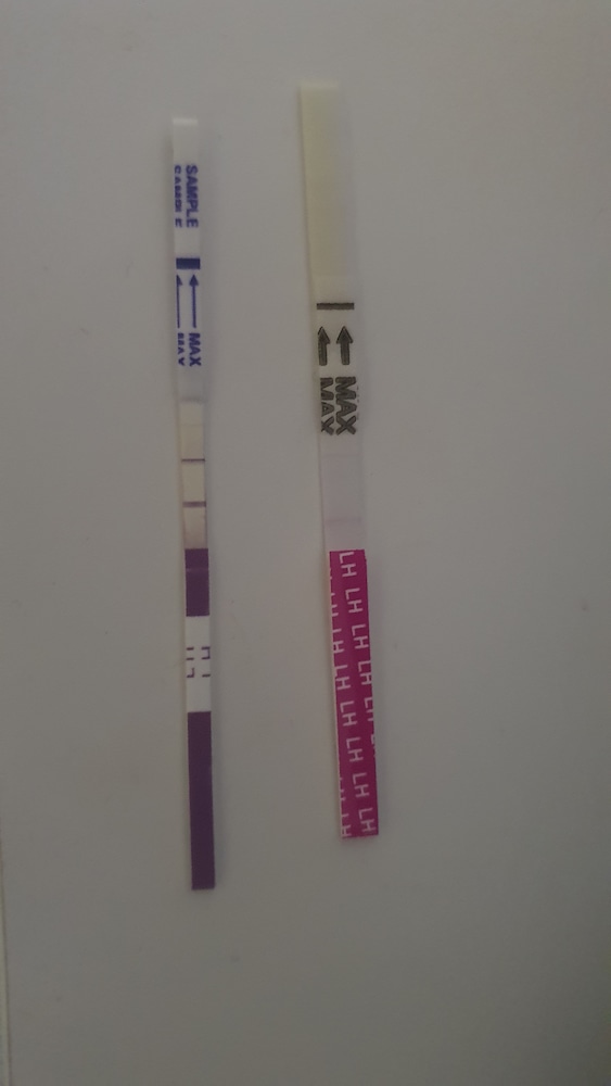 a arde Economisire ridicare Test de ovulatie Minut intim, tip banda-5 bucati + 1 test sarcina cadou - eMAG.ro a arde Economisire ridicare Test de ovulatie Minut intim, tip banda-5 bucati + 1 test sarcina cadou - eMAG.ro