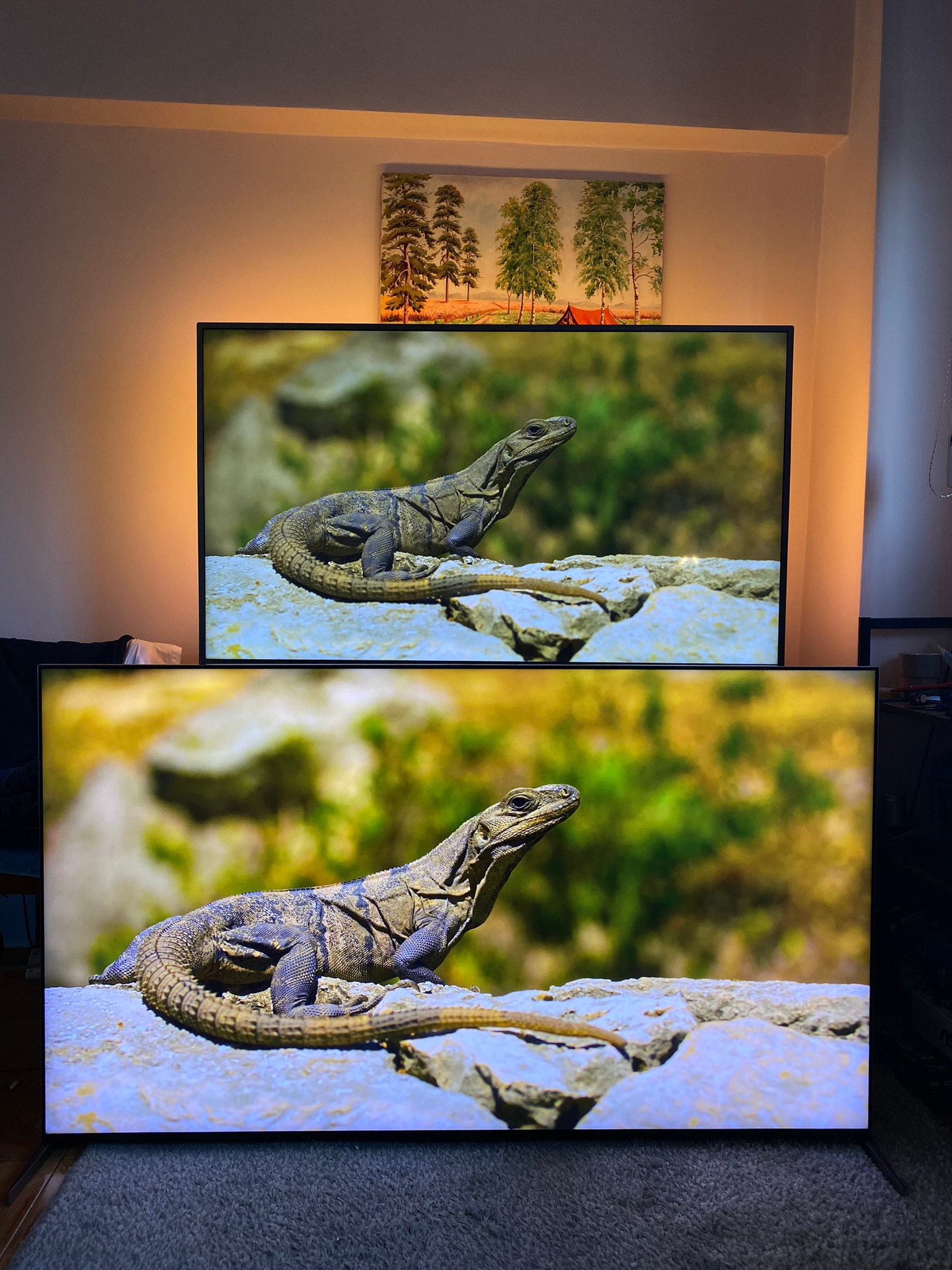 Televizor Sony Mini LED 85X95K, 215 cm, Smart Google TV, 4K Ultra HD, 100 Hz, Clasa E