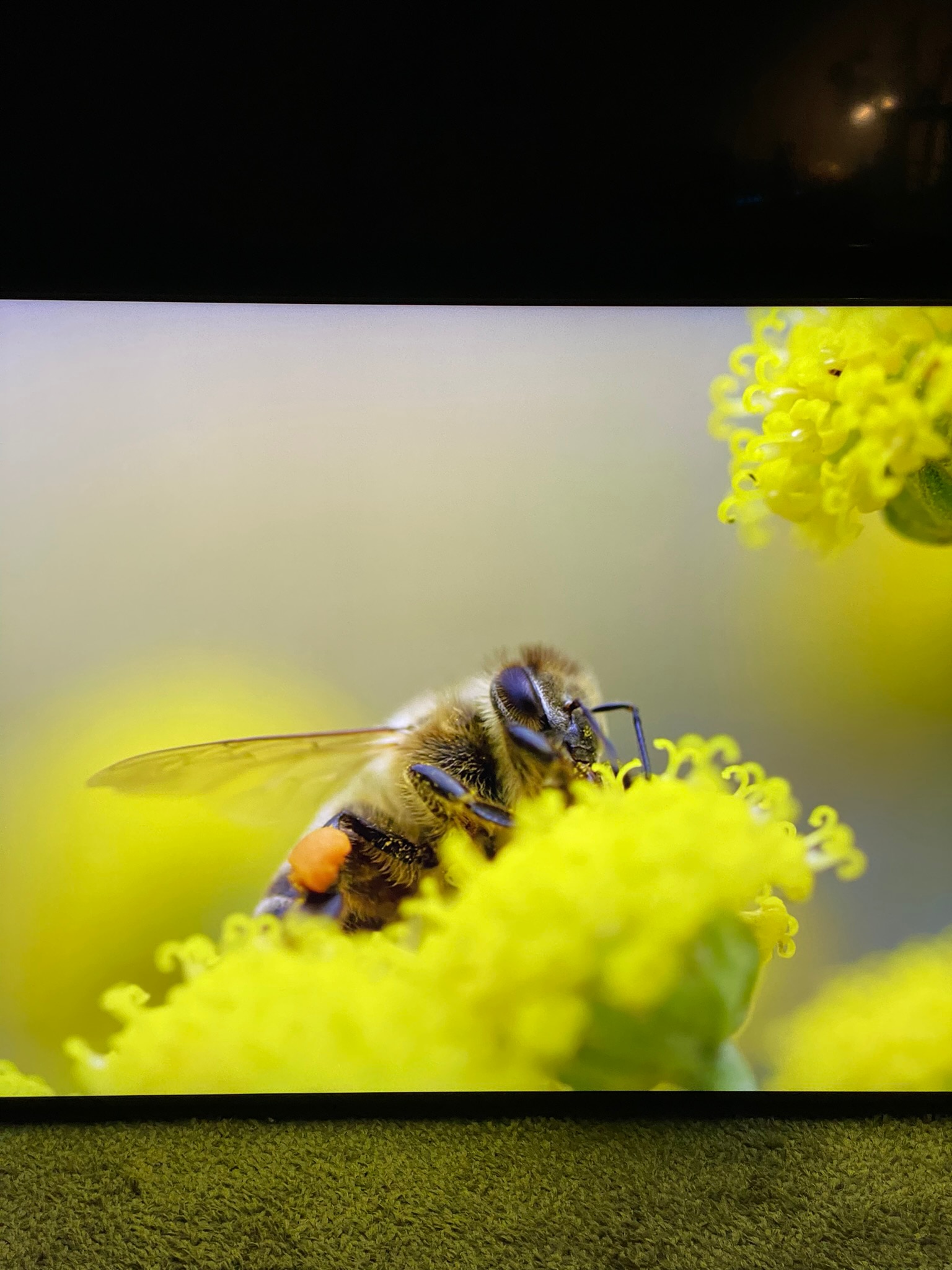 Televizor Sony Mini LED 85X95K, 215 cm, Smart Google TV, 4K Ultra HD, 100 Hz, Clasa E