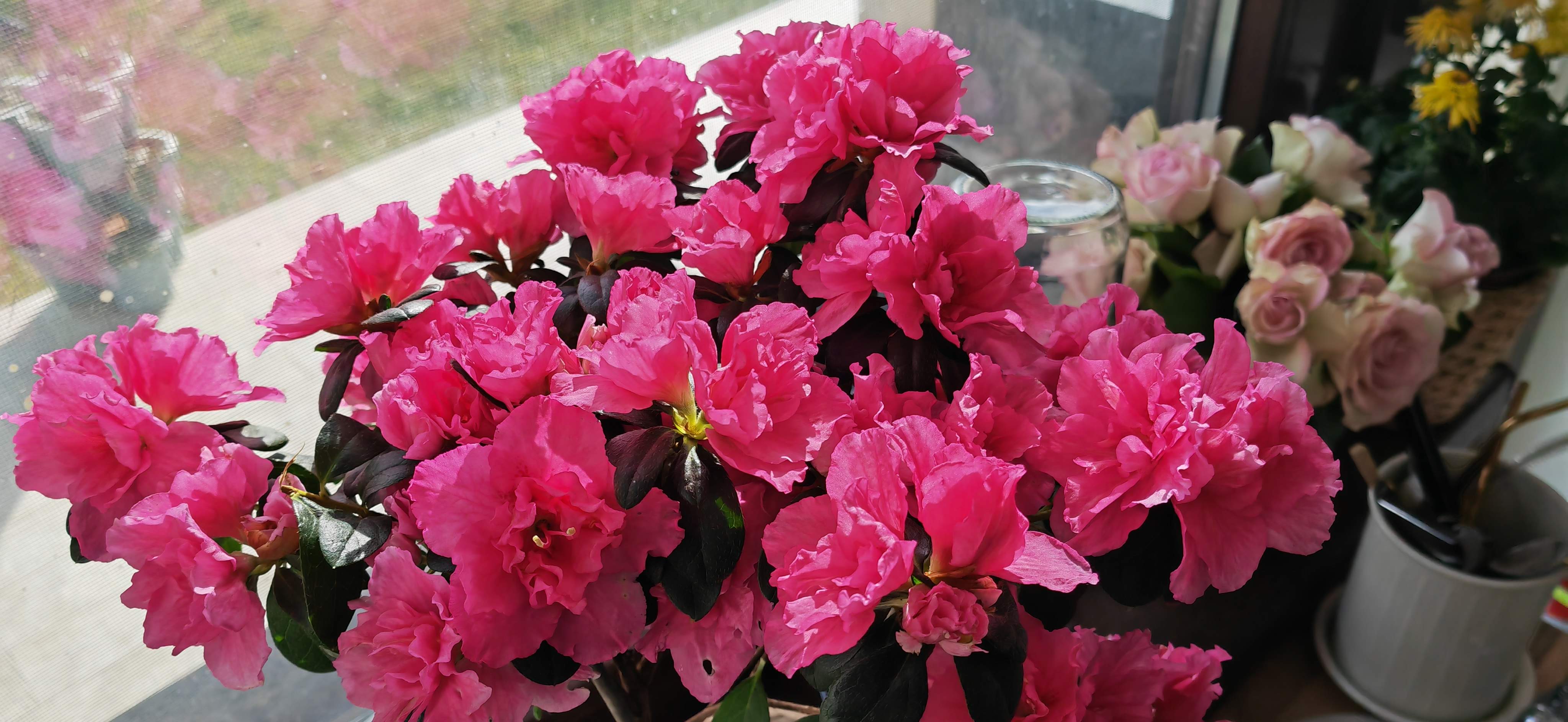 Telefon Mobil HONOR Magic 4 PRO, Dual Sim, 8GB RAM, 256GB, Black