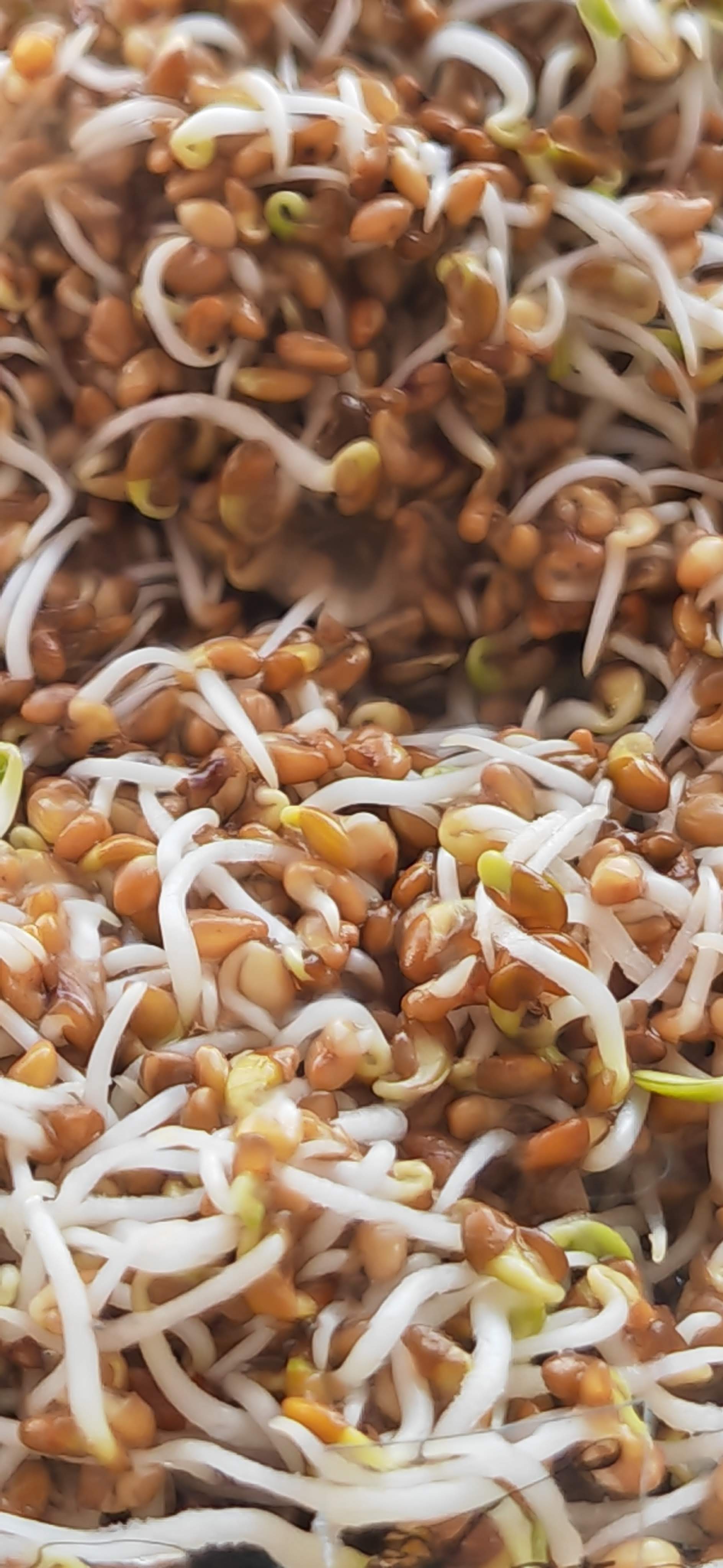 Telefon Mobil HONOR Magic 4 PRO, Dual Sim, 8GB RAM, 256GB, Black