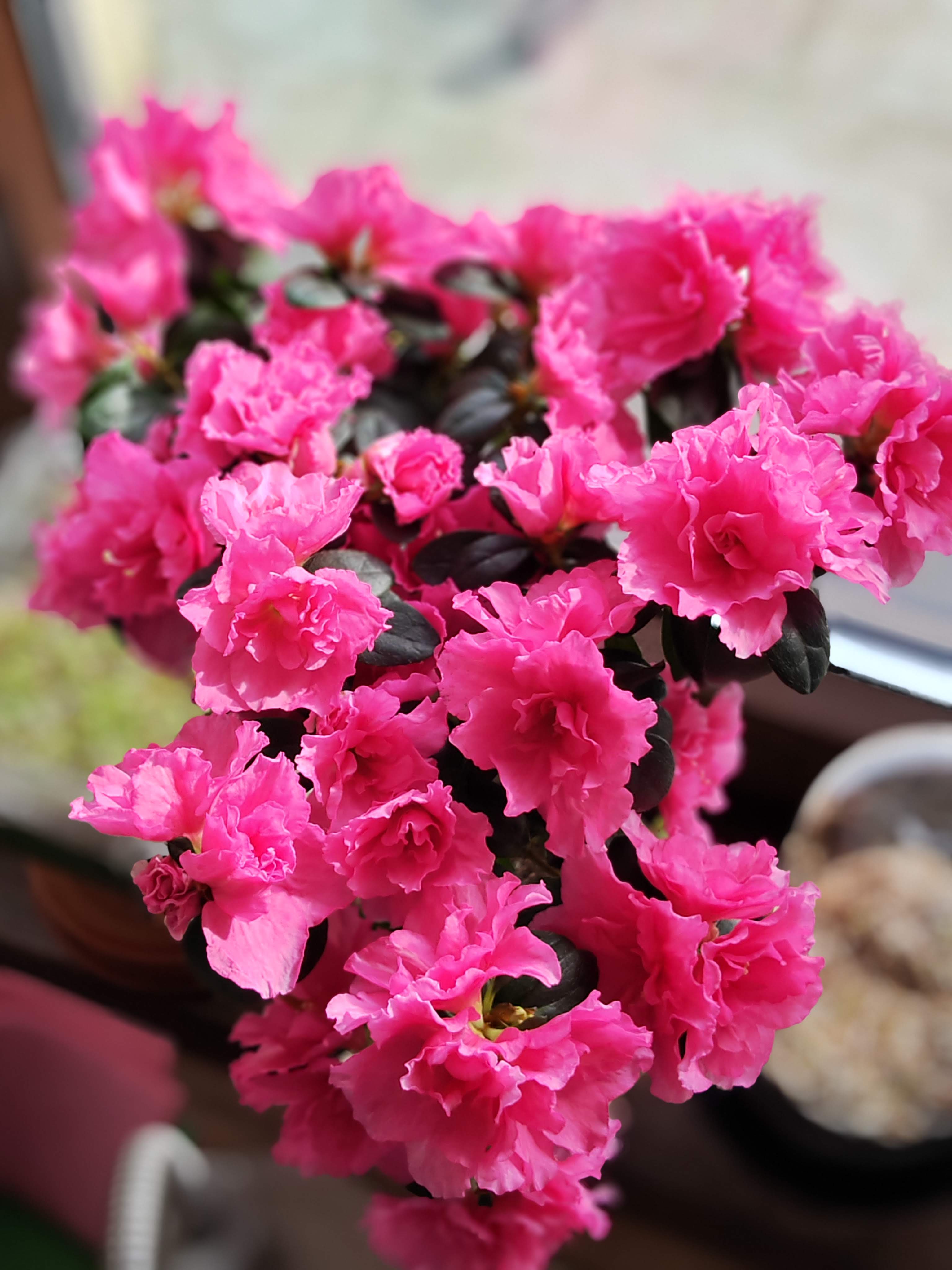 Telefon Mobil HONOR Magic 4 PRO, Dual Sim, 8GB RAM, 256GB, Black