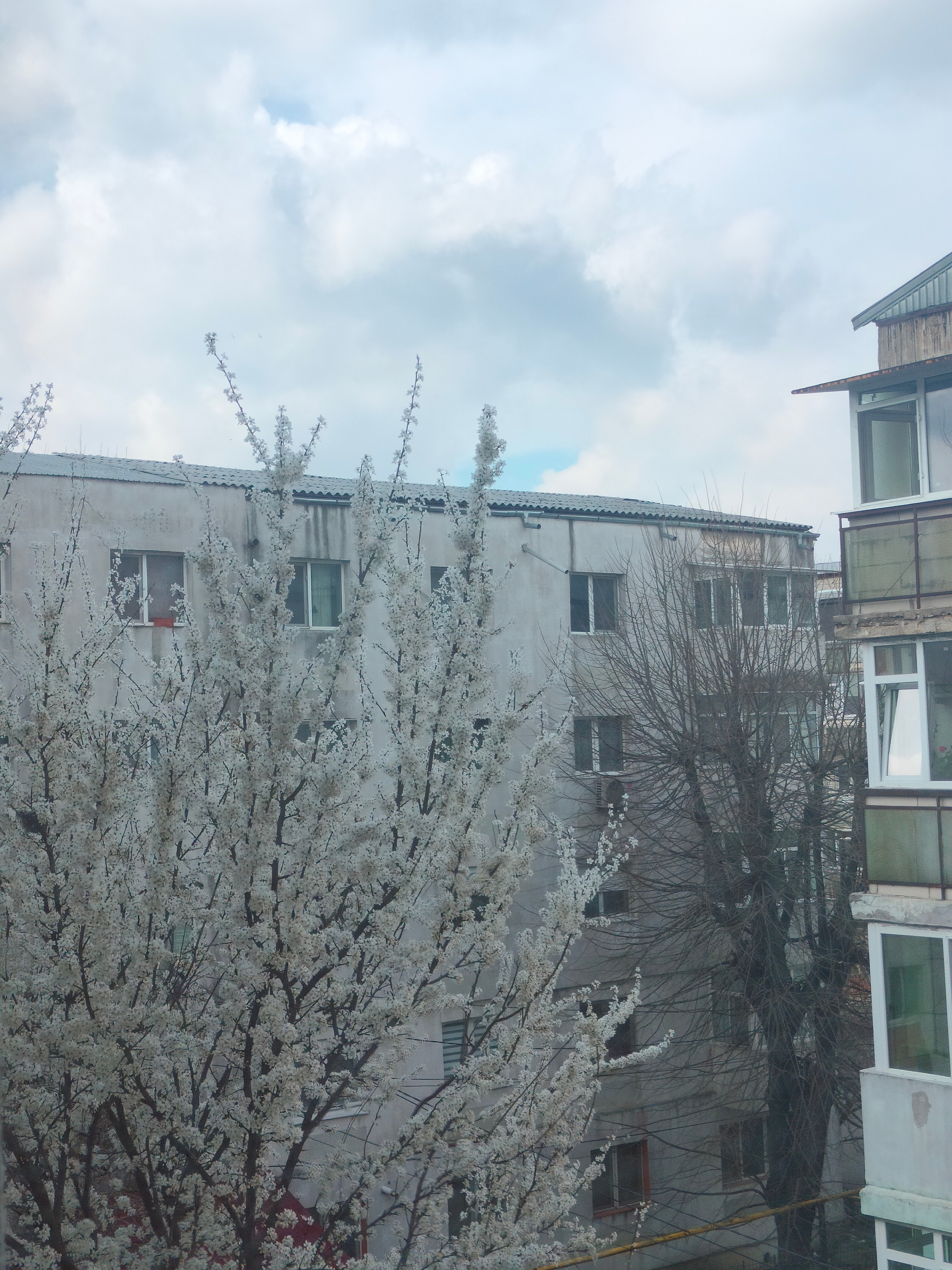 RESIGILAT: Telefon mobil Realme 9 Pro, Dual SIM, 6GB RAM, 128GB, 5G, Midnight Black