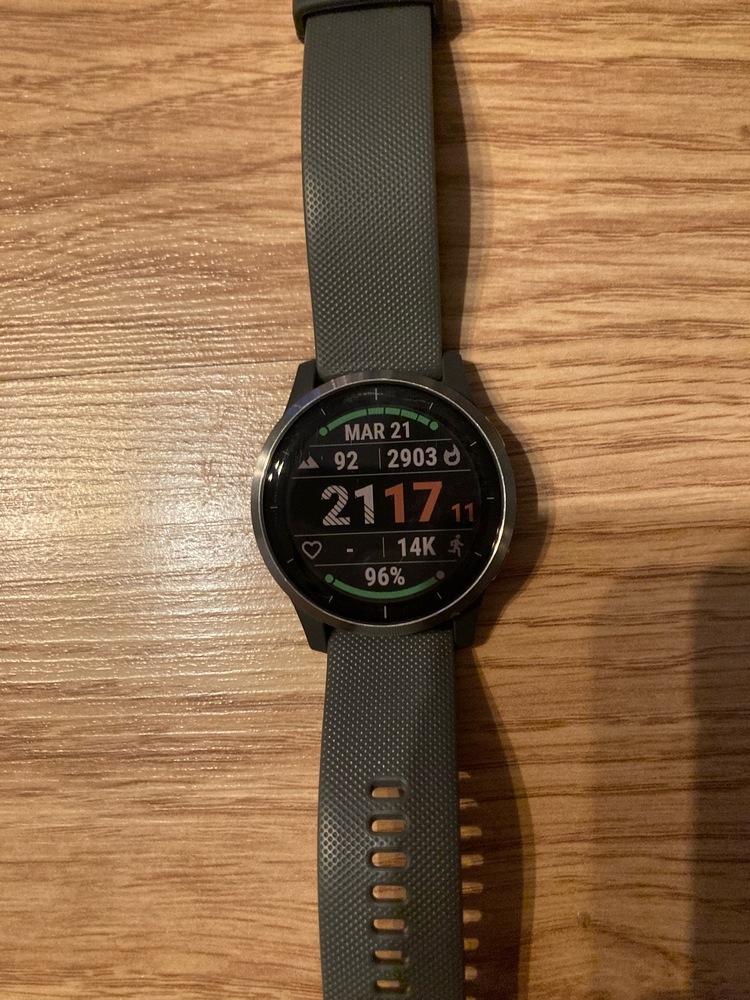 Garmin vivoactive outlet 4 emag