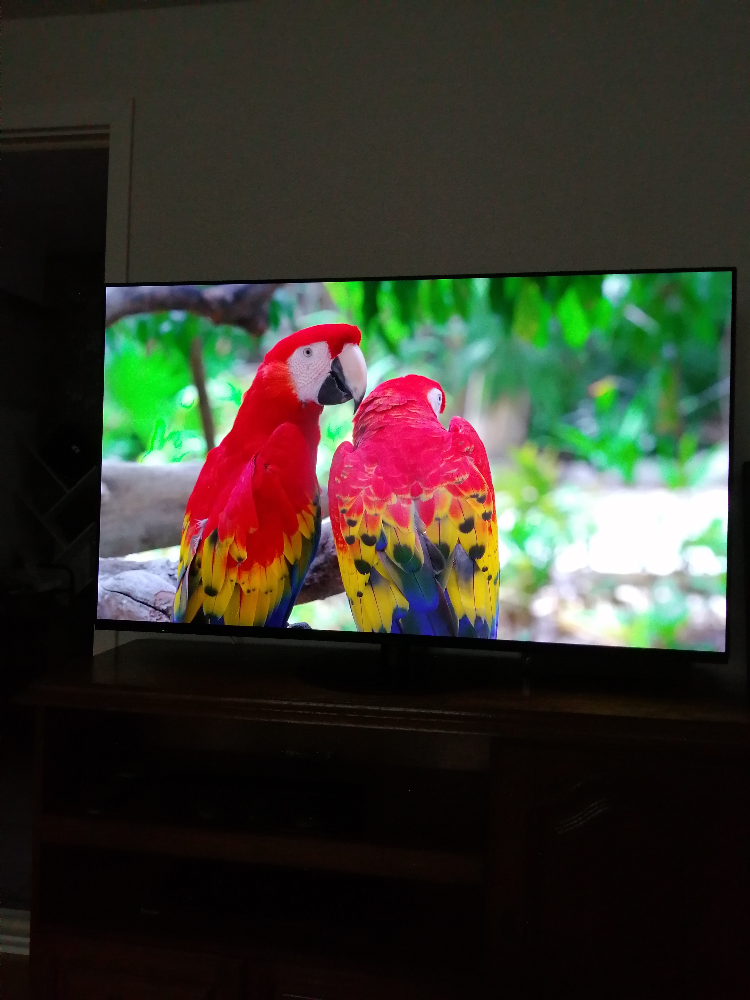 Televizor Panasonic OLED TX-55LZ1000E, 139cm, Smart, 4K Ultra HD, Clasa G