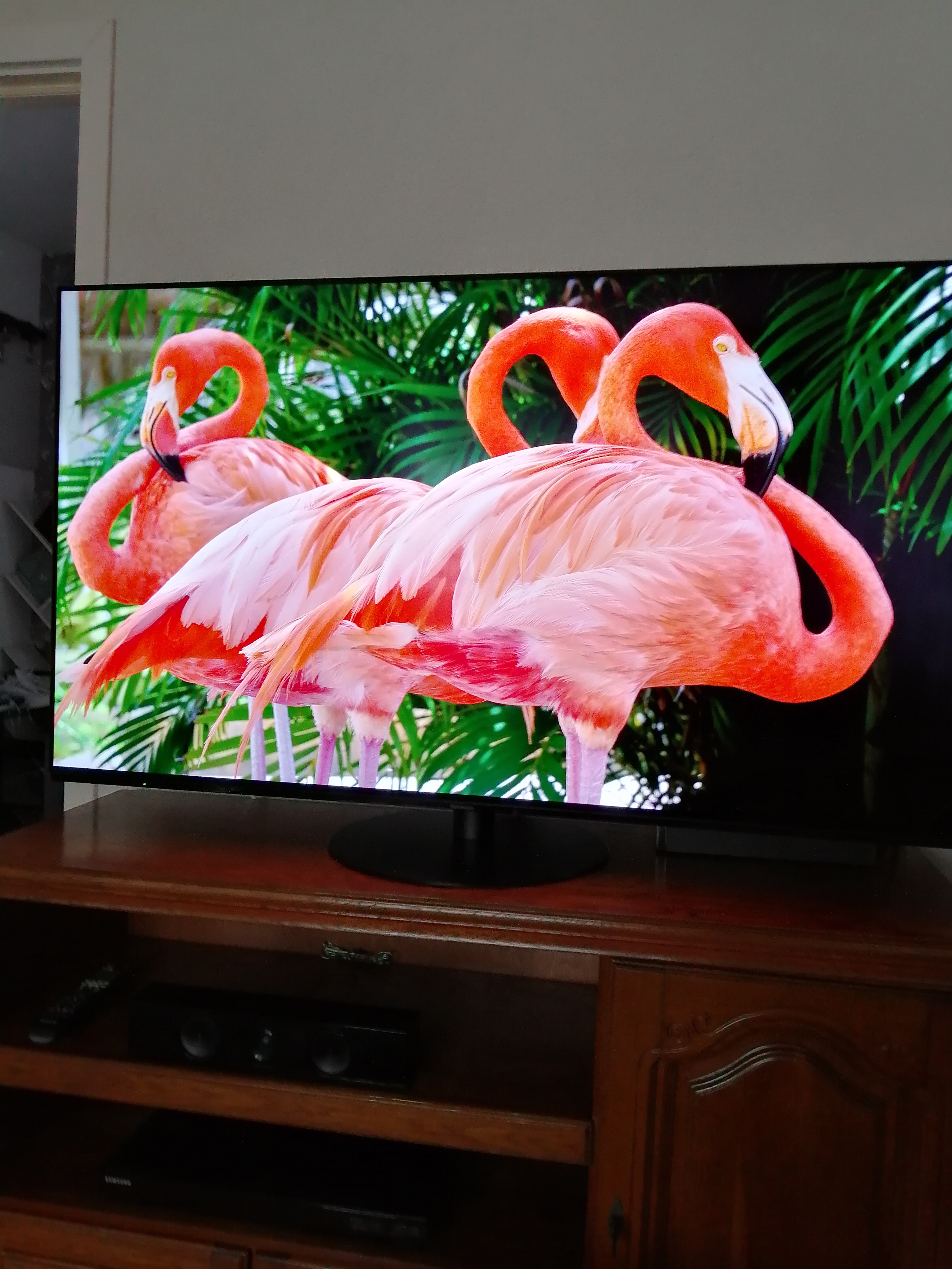 Televizor Panasonic OLED TX-55LZ1000E, 139cm, Smart, 4K Ultra HD, Clasa G