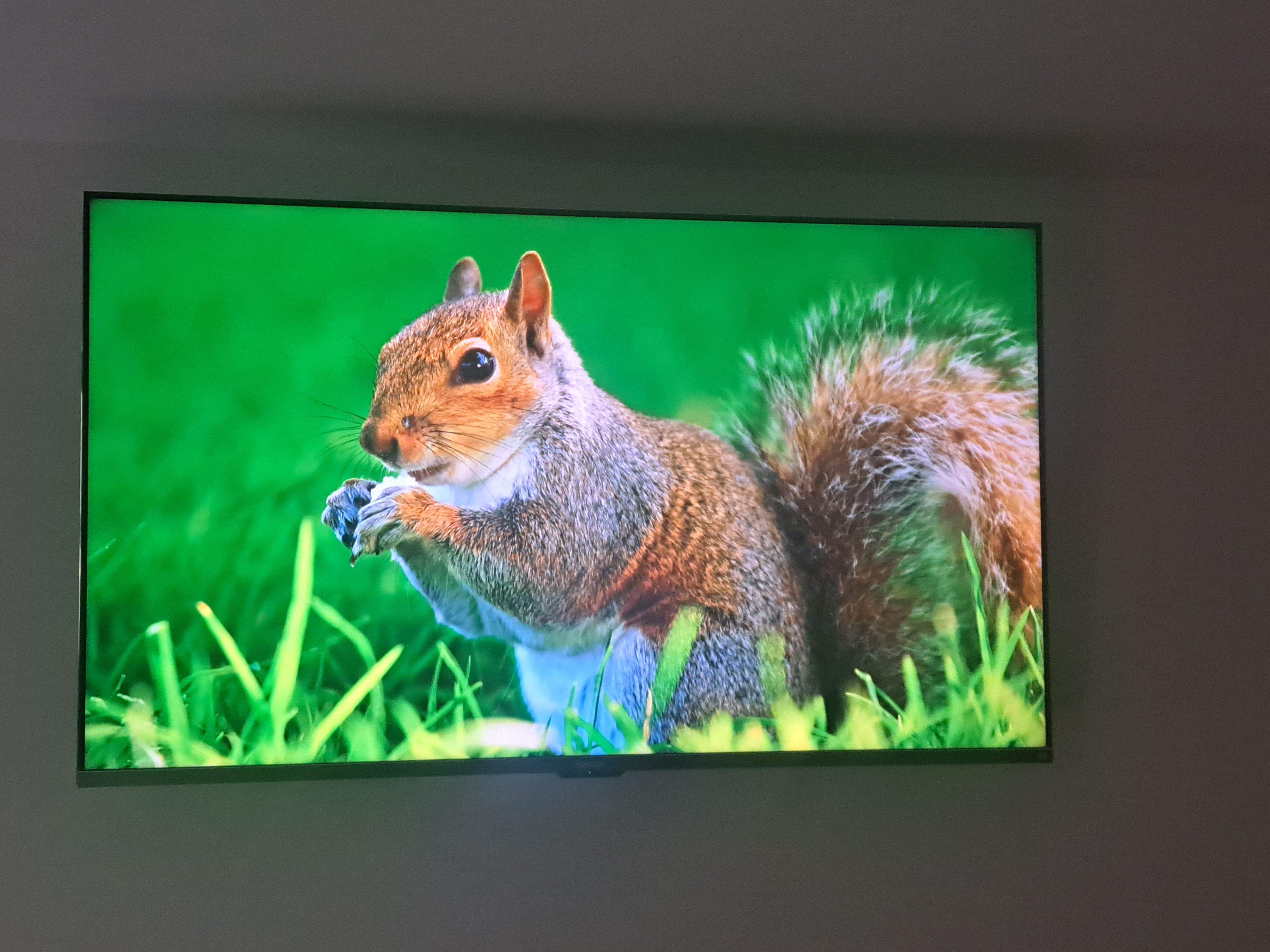Televizor Horizon QLED 55HQ9730U/B, 139 cm, Smart, 4K Ultra HD, Class G