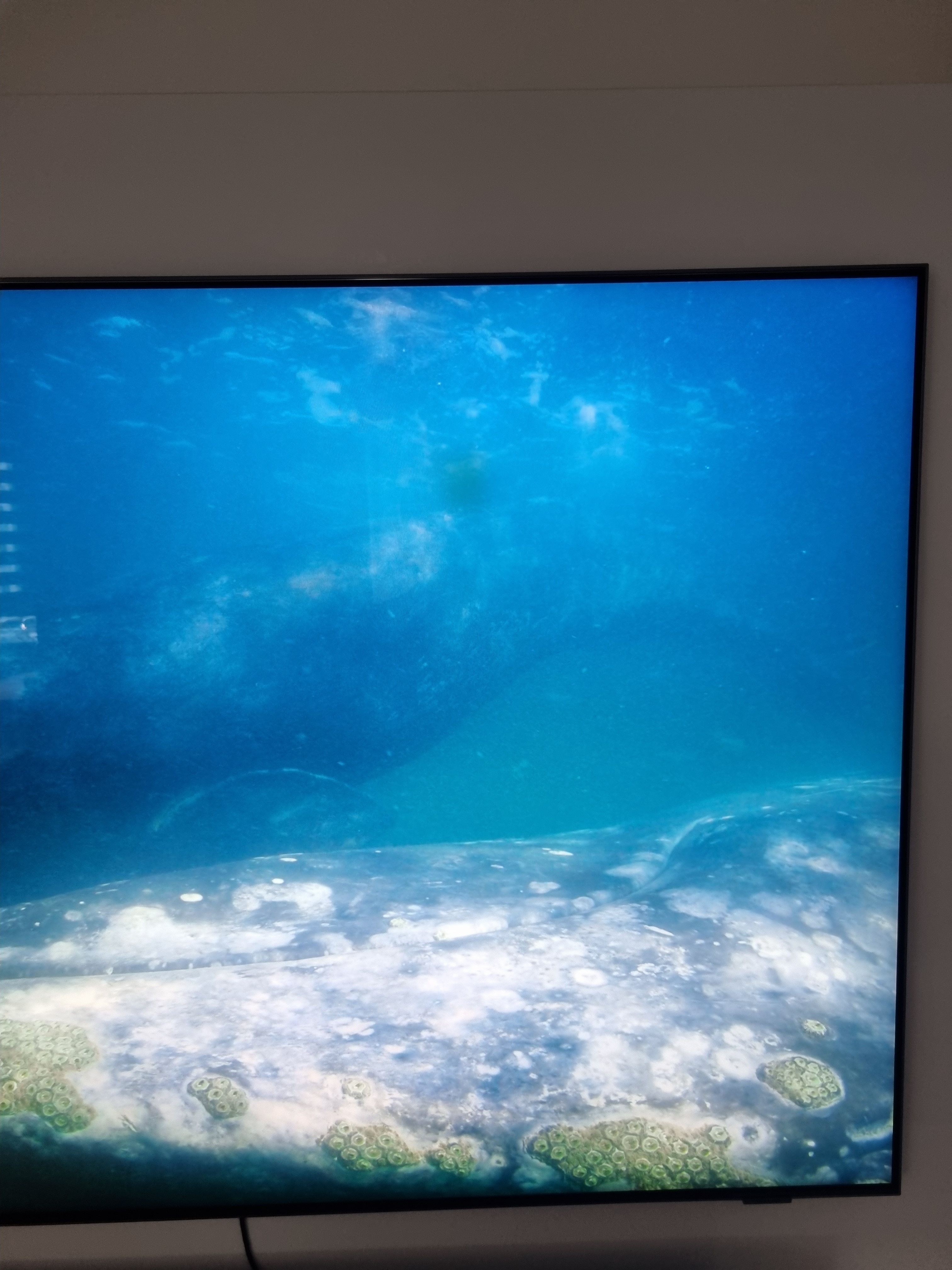 Televizor Samsung Neo QLED 65QN85B, 163 cm, Smart, 4K Ultra HD, 100Hz, Clasa F