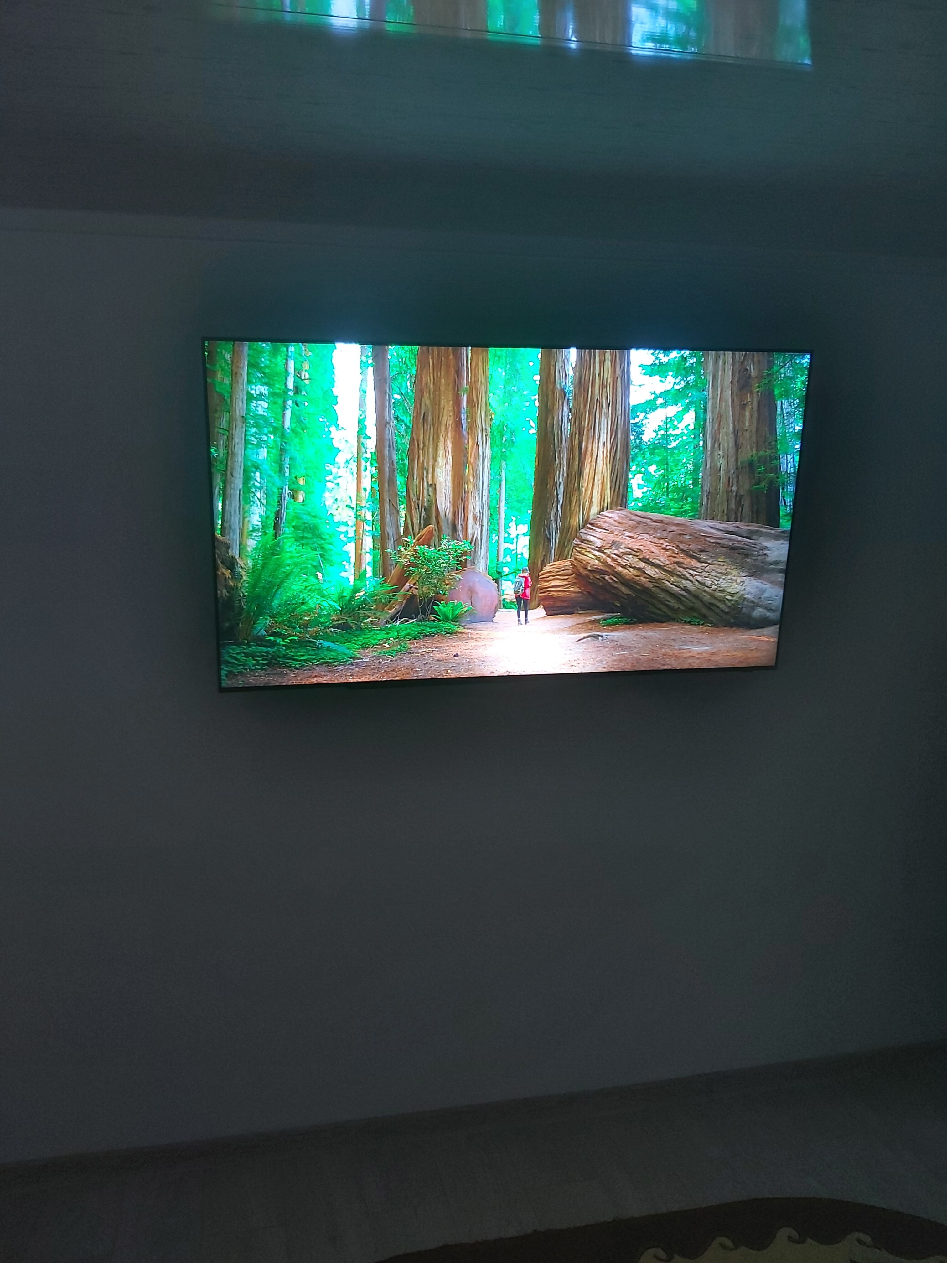 Televizor SAMSUNG Neo QLED 65QN95C, 163 cm, Smart, 4K Ultra HD, 100 Hz, Clasa F