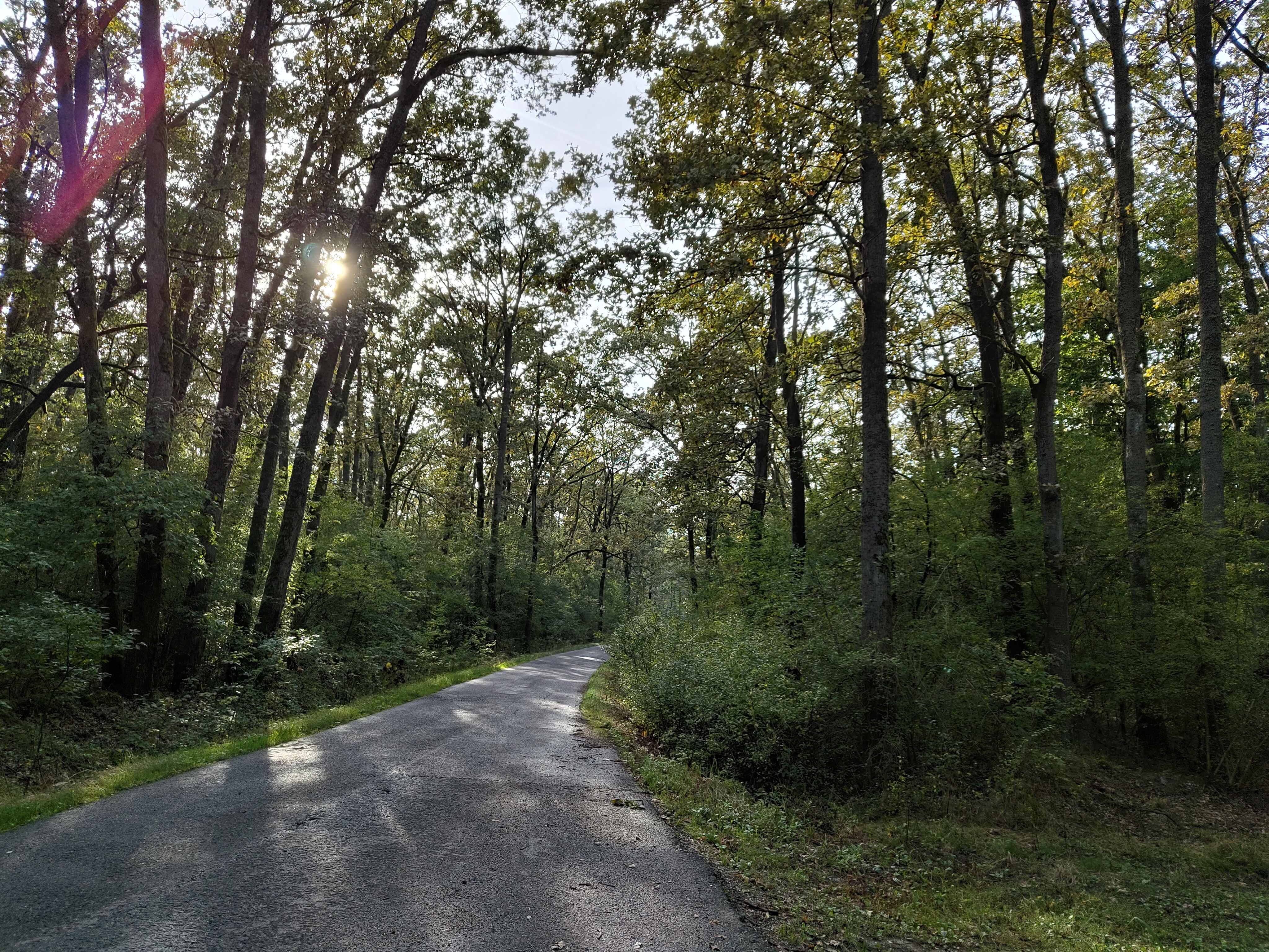 Husa silicon transparenta compatibila cu Nothing Phone 1, Patru colturi rezistent la socuri, clar