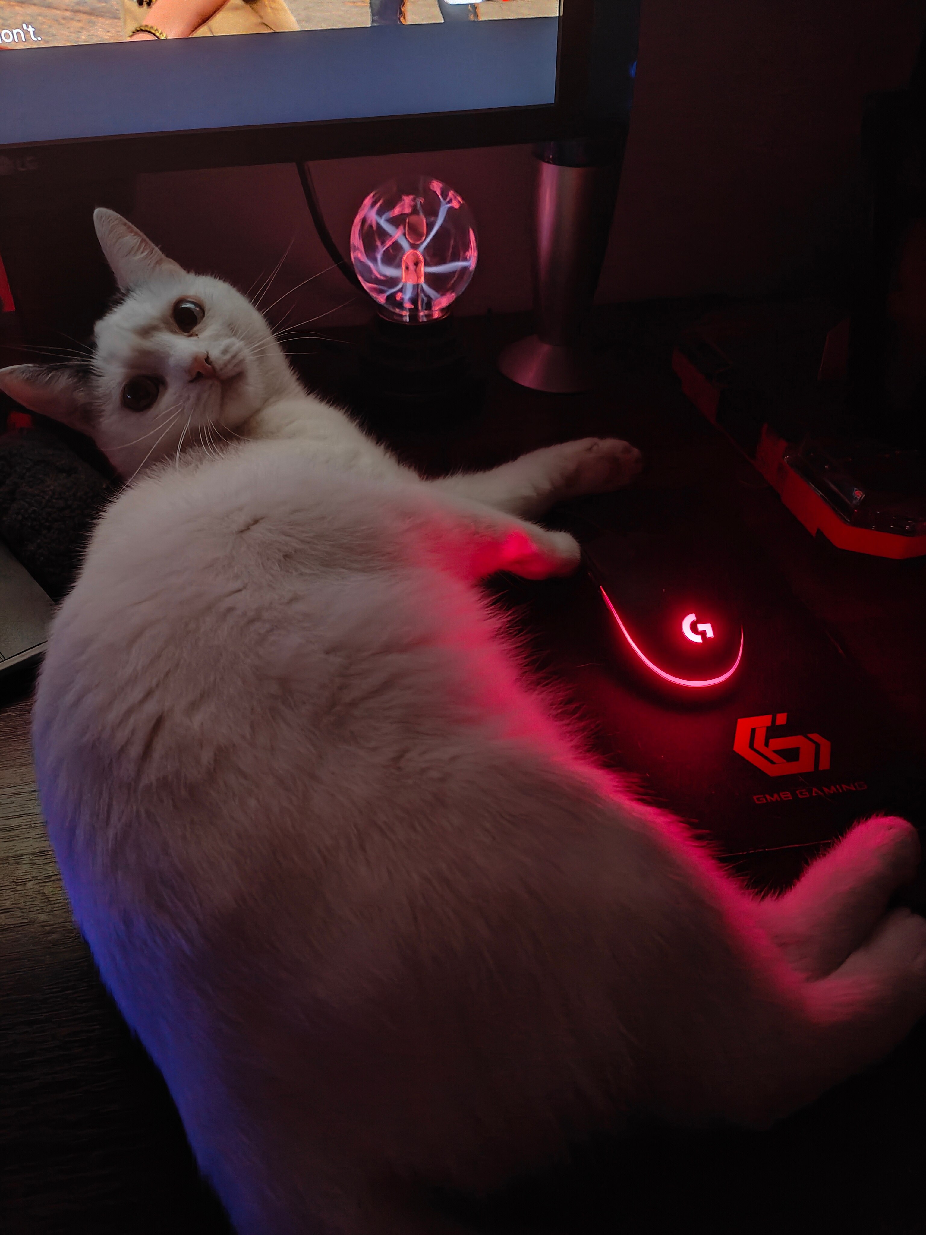 Telefon mobil OPPO Find X5 Pro, Dual SIM, 256GB, 12GB RAM, 5G, Glaze Black