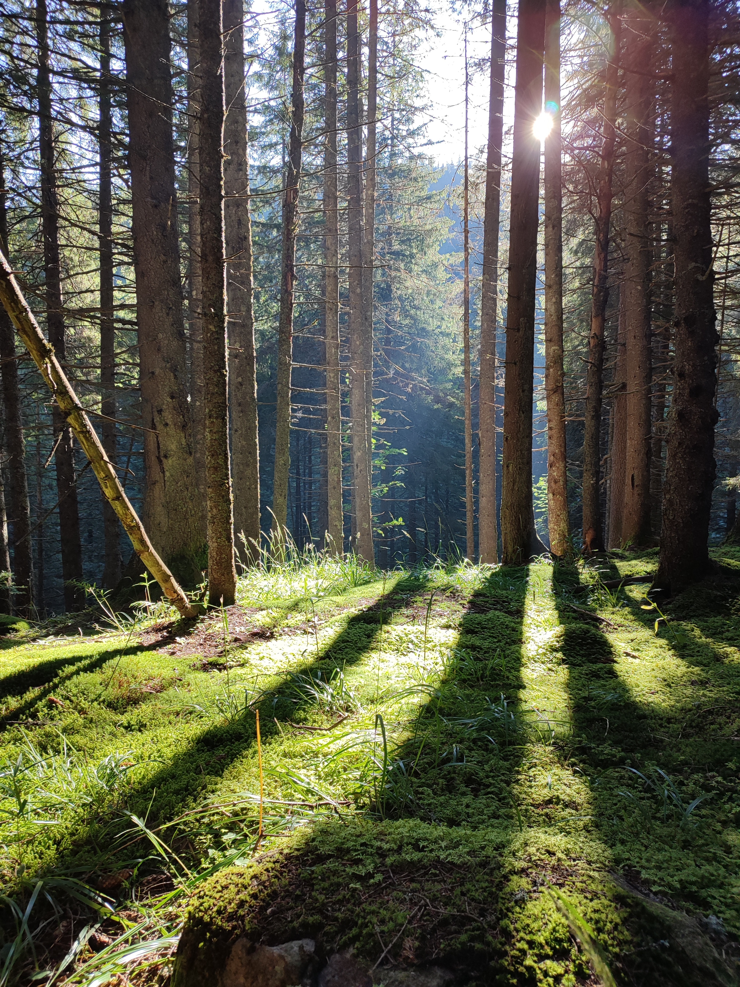 Telefon mobil Xiaomi Redmi Note 10 Pro, Dual SIM, 6GB, 128GB, Onyx Gray