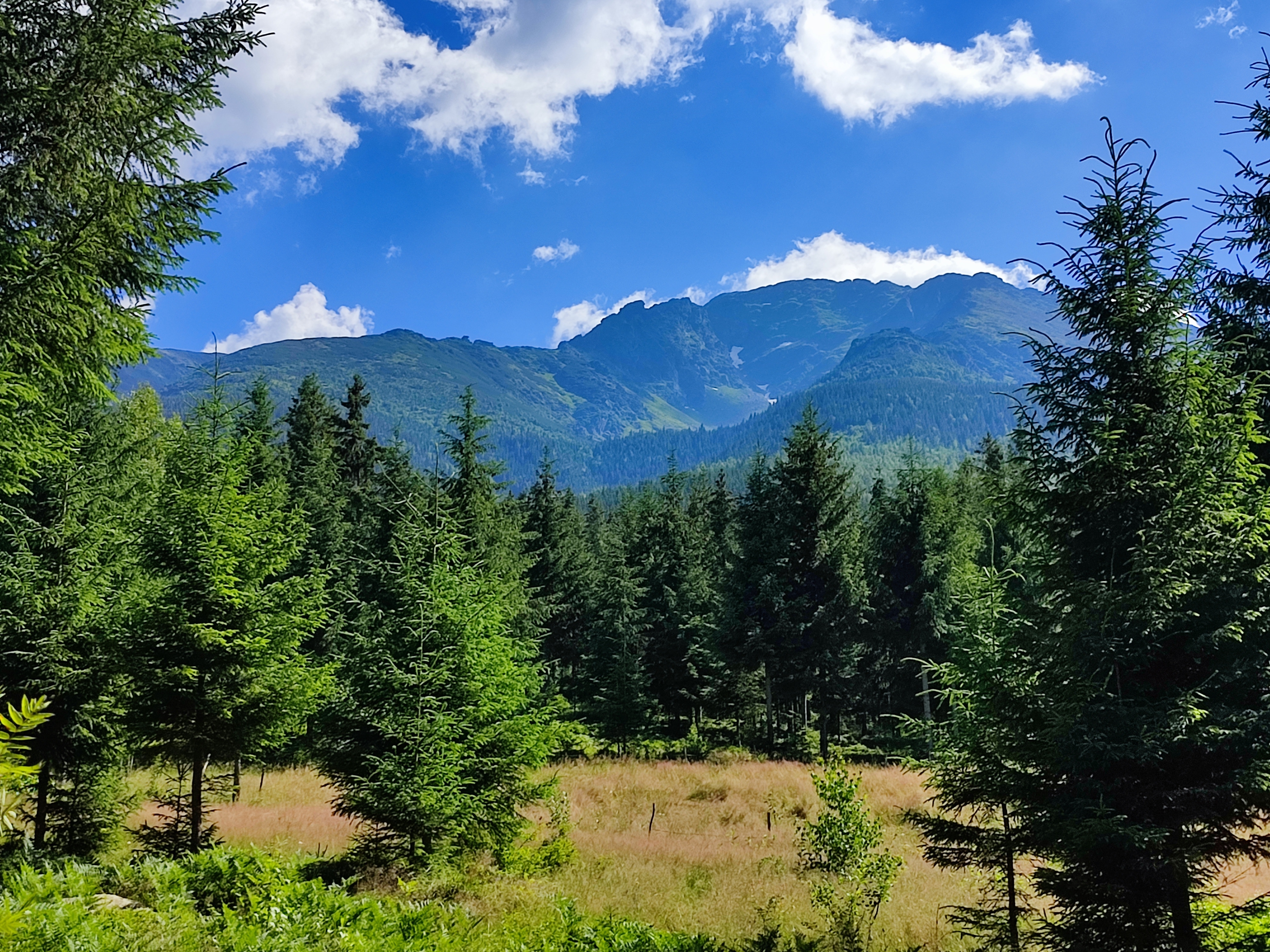 Telefon mobil Xiaomi Redmi Note 10 Pro, Dual SIM, 6GB, 128GB, Onyx Gray