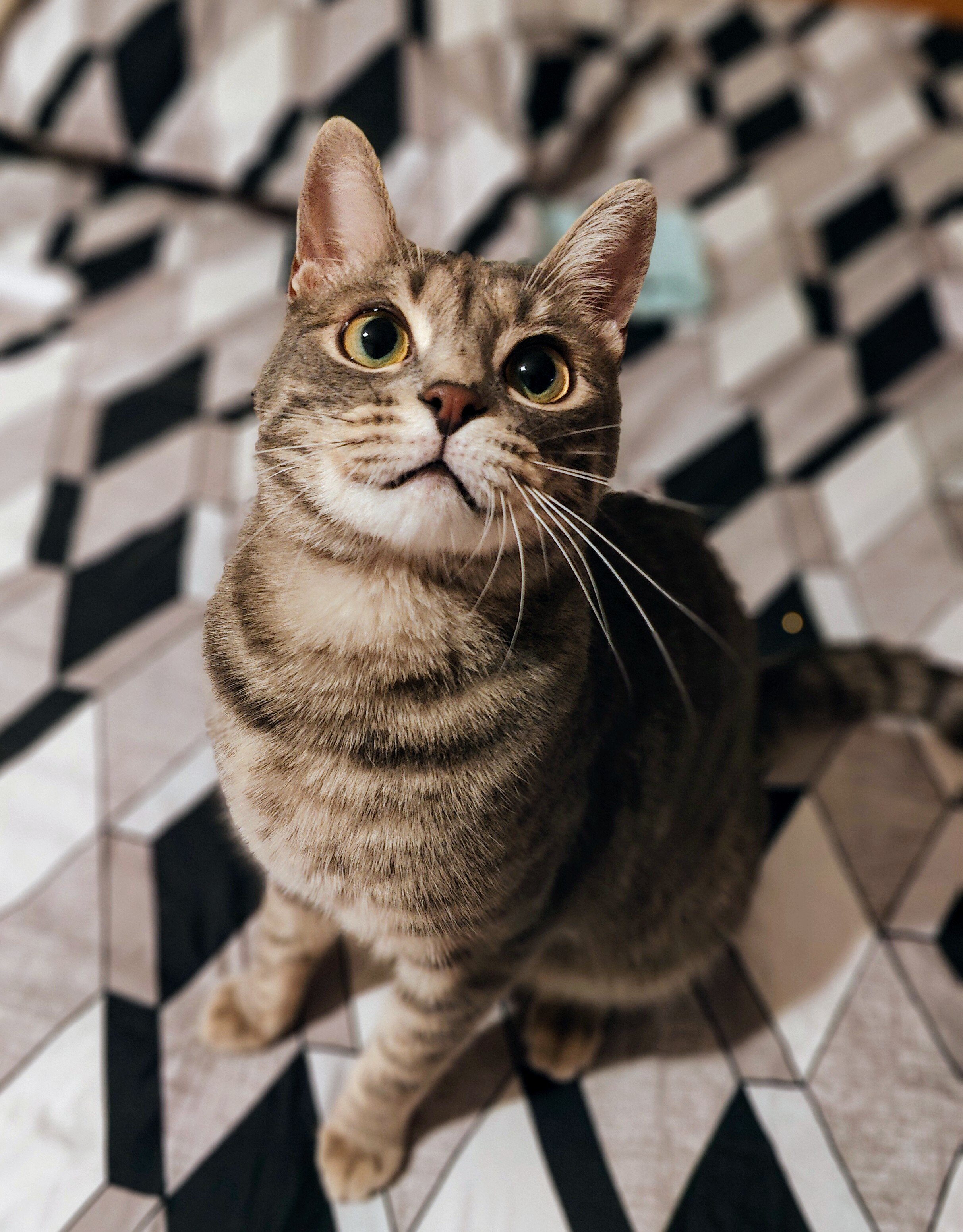 Telefon mobil OnePlus 10 Pro, 256GB, 12GB RAM, 5G, Volcanic Black