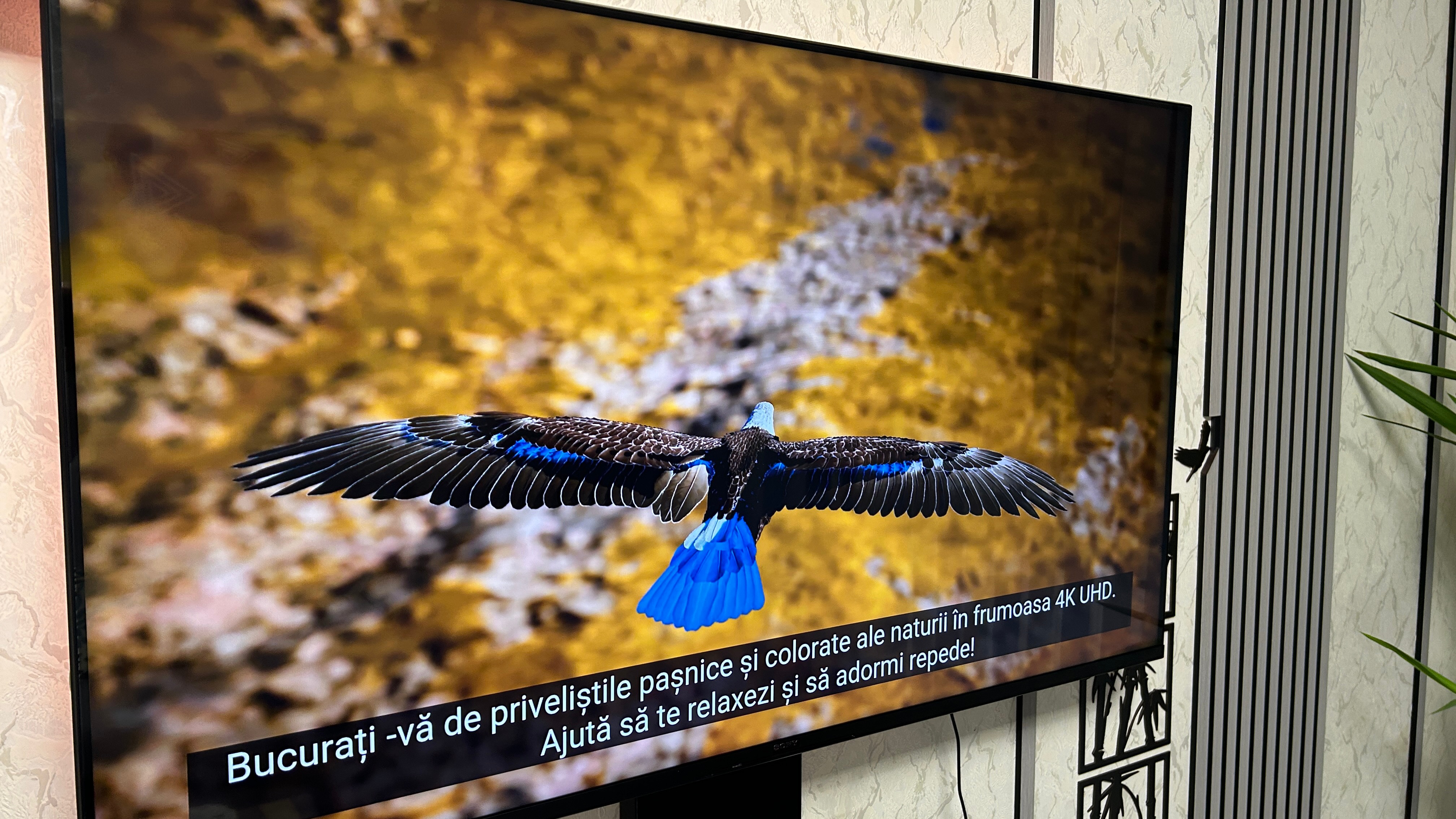 Televizor Sony LED 50X80K, 126 cm, Smart Google TV, 4K Ultra HD, Clasa G
