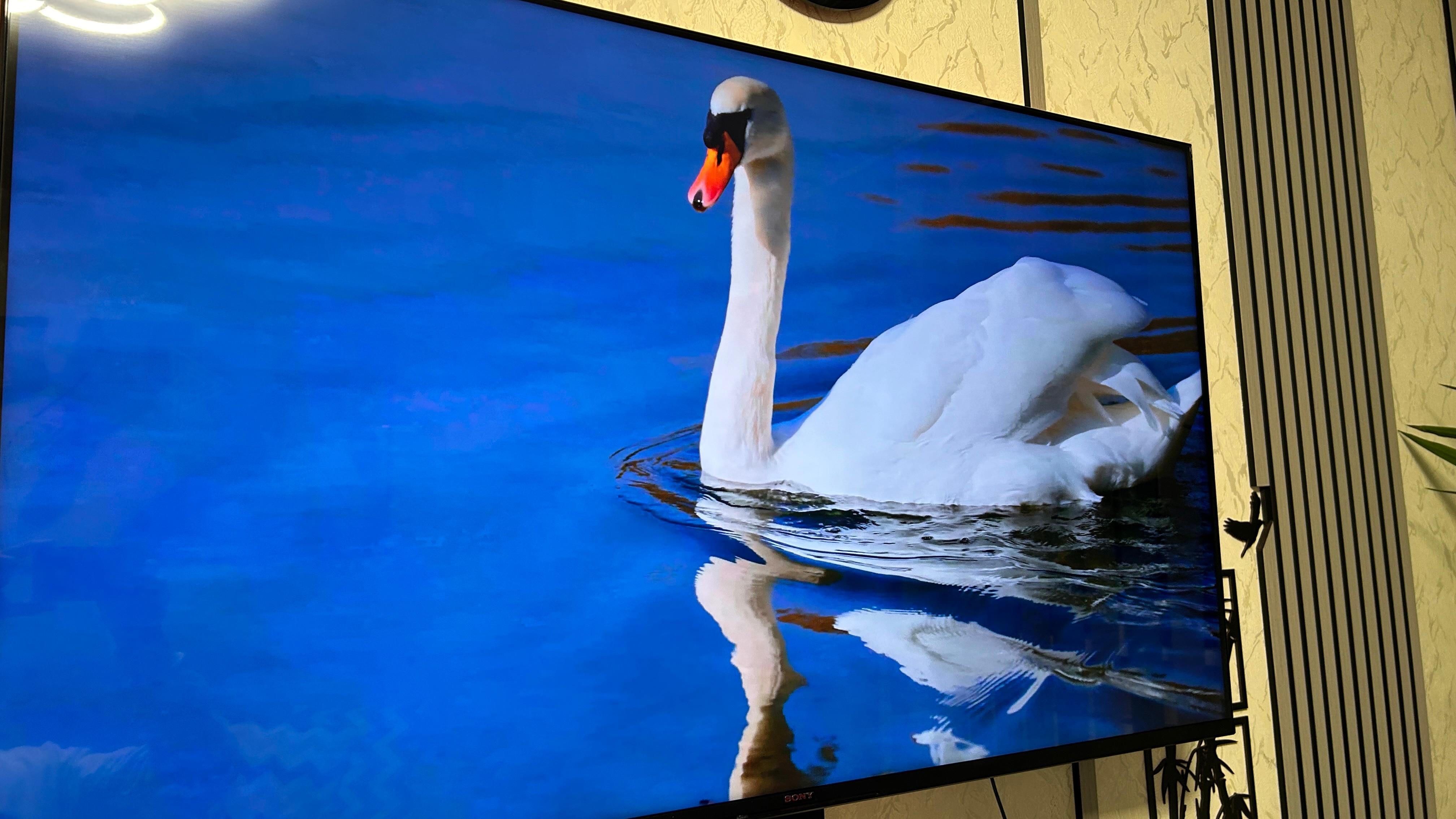 Televizor Sony LED 50X80K, 126 cm, Smart Google TV, 4K Ultra HD, Clasa G