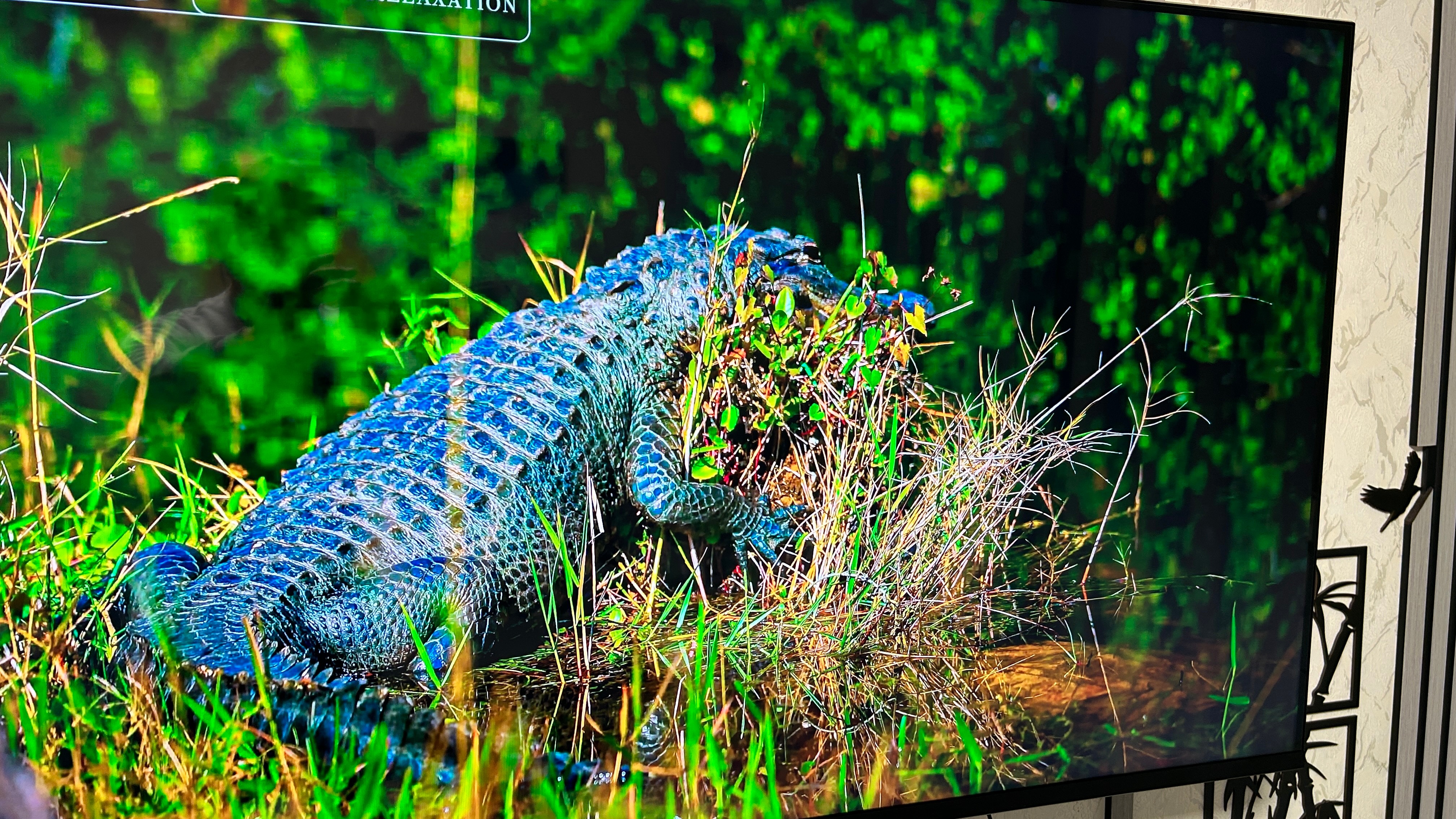 Televizor Sony LED 50X80K, 126 cm, Smart Google TV, 4K Ultra HD, Clasa G